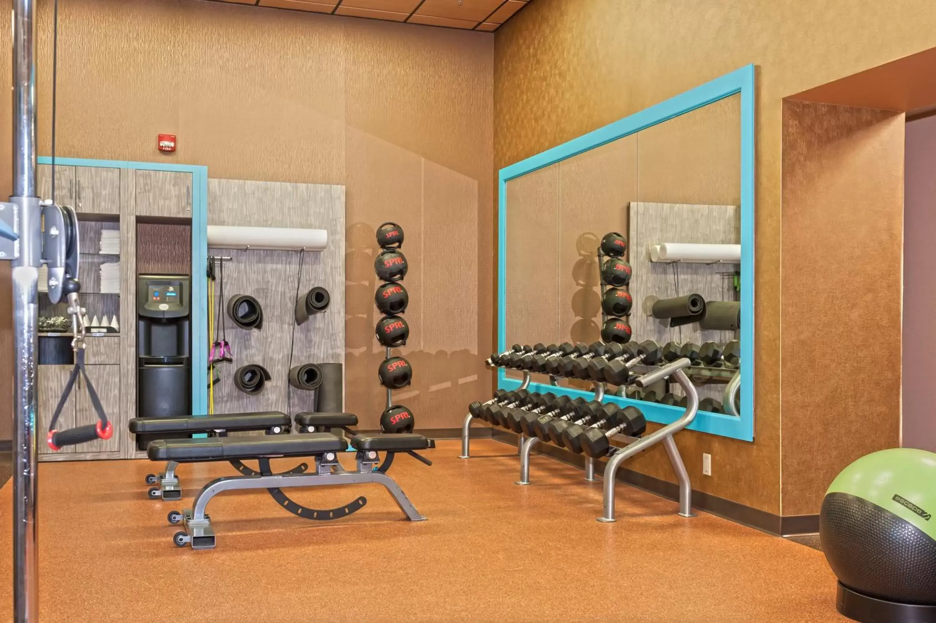 Fitness centre/facilities, Fitness Center/Facilities in Crowne Plaza Suites MSP Airport an IHG Hotel