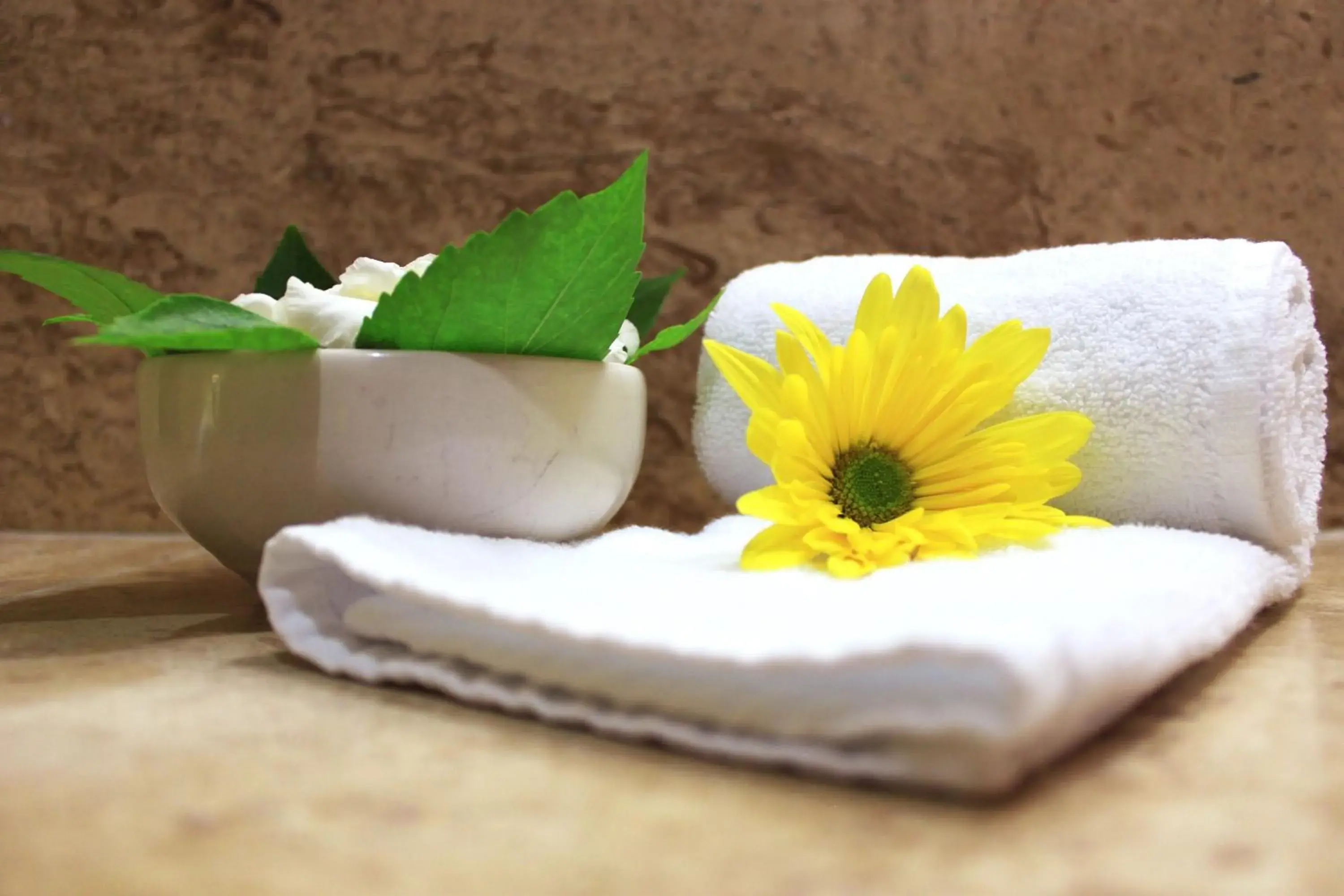 Area and facilities in Coral Ixtapa Area and facilities in Coral Ixtapa