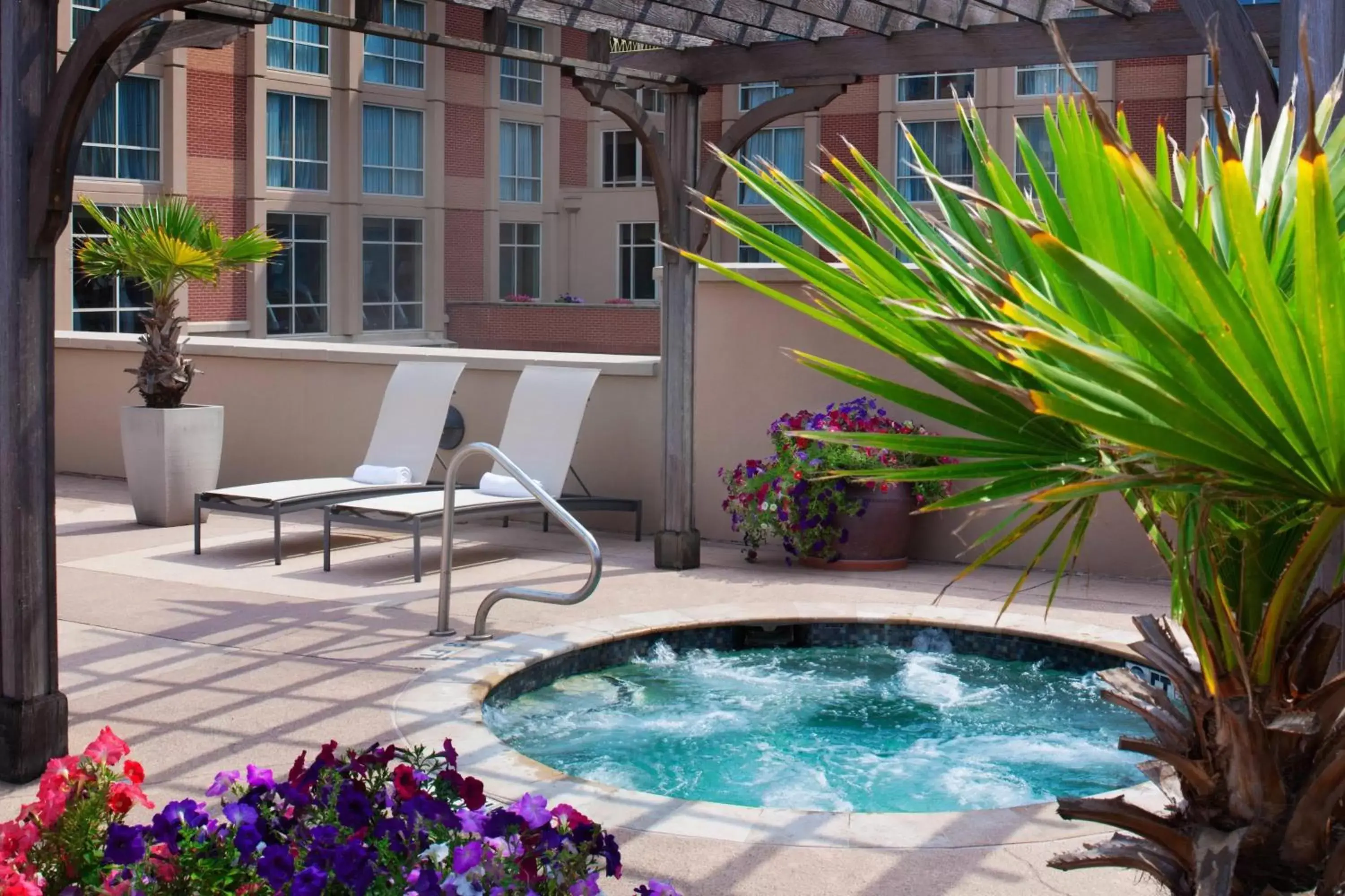 Fitness centre/facilities, Swimming Pool in Houston Marriott Sugar Land