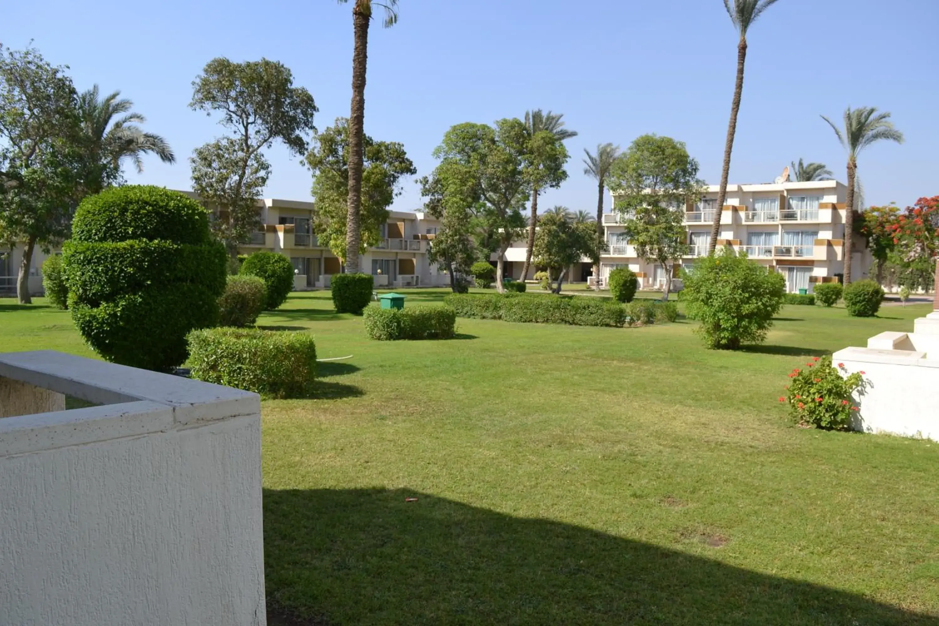Garden in Pyramids Park Resort Cairo