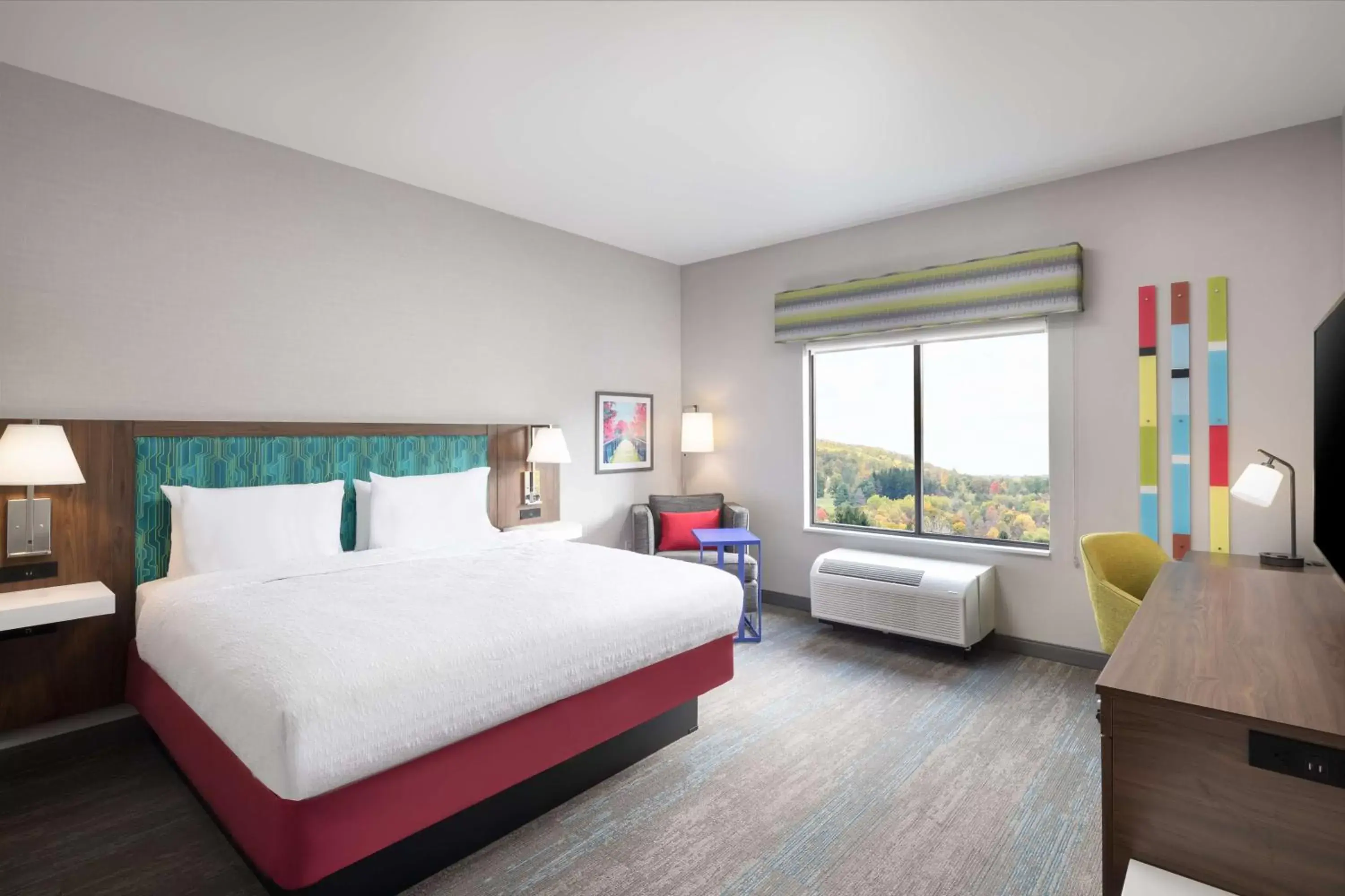 King Room - Hearing Access in Hampton Inn Hornell King Room - Hearing Access in Hampton Inn Hornell