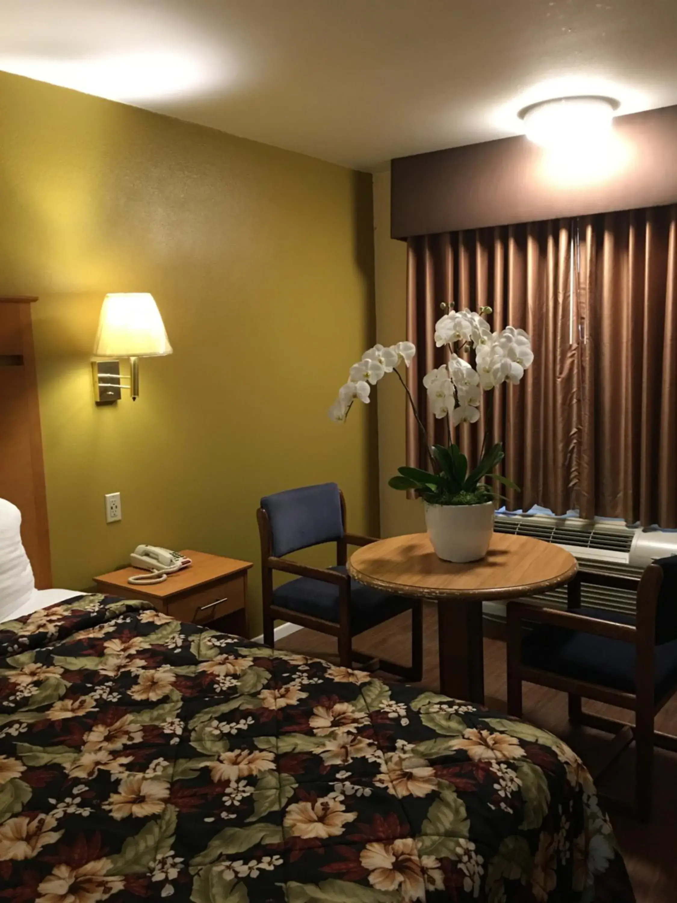 Property building, Bed in OceanView Motel