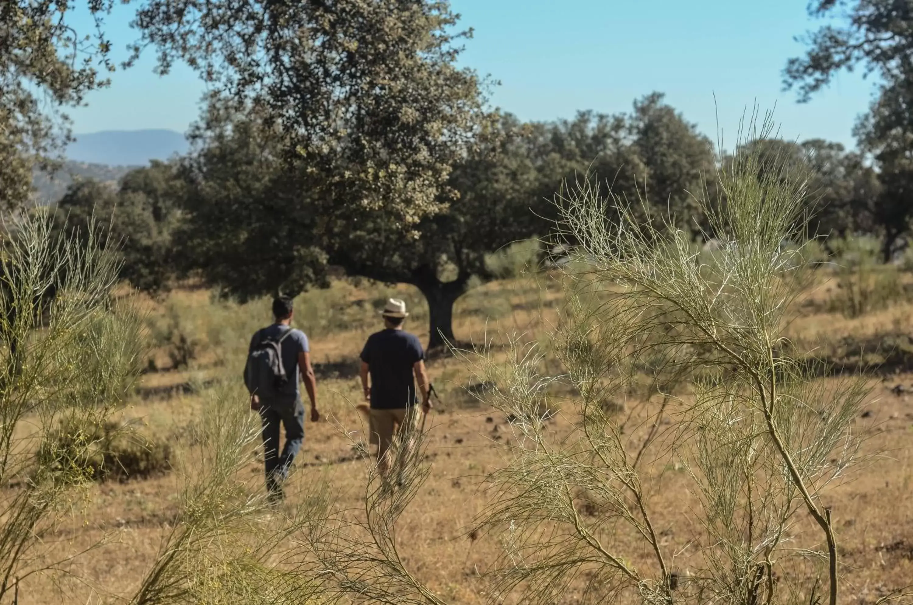 Activities in La Dehesa de Don Pedro