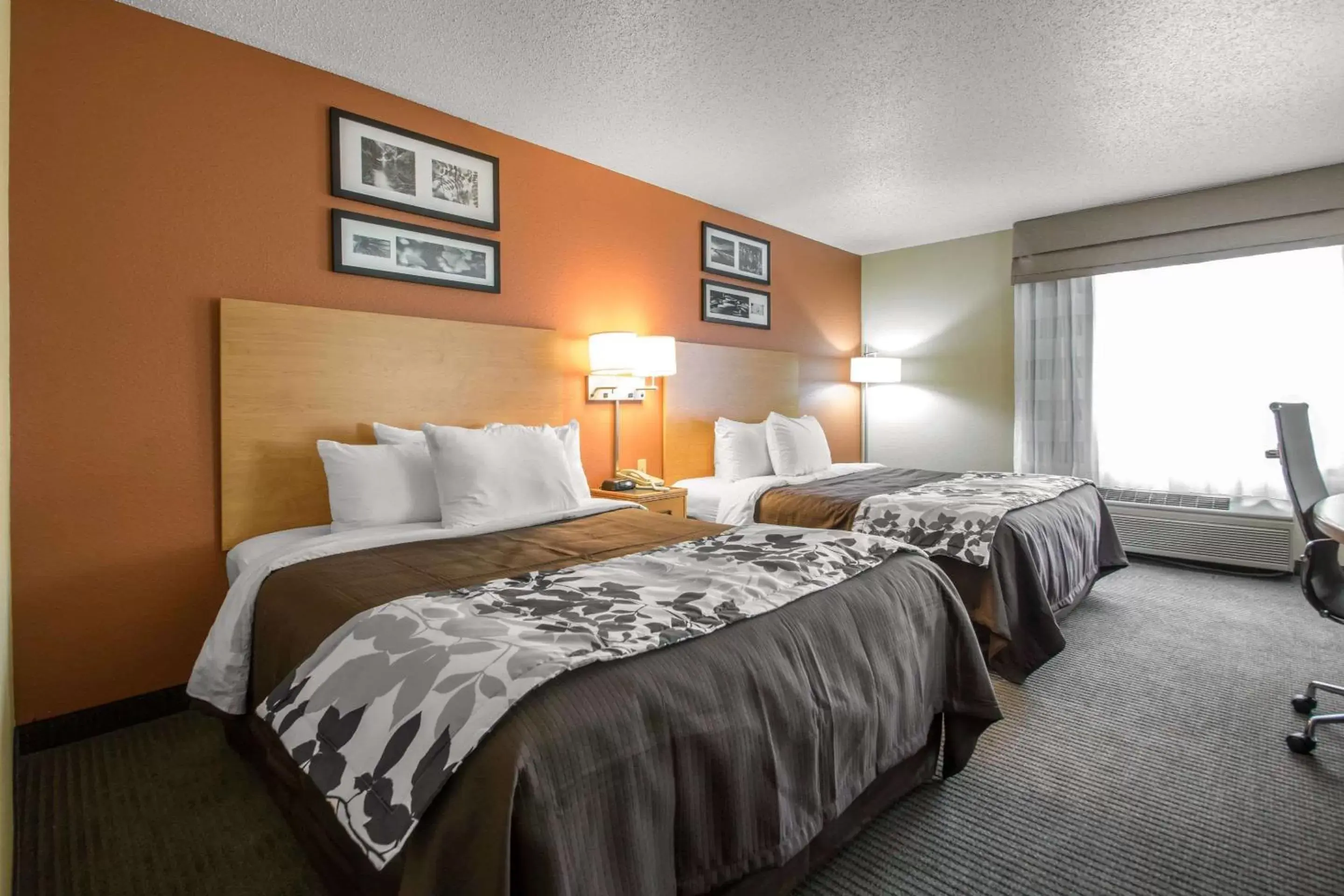 Photo of the whole room, Bed in Sleep Inn & Suites Sheboygan I-43