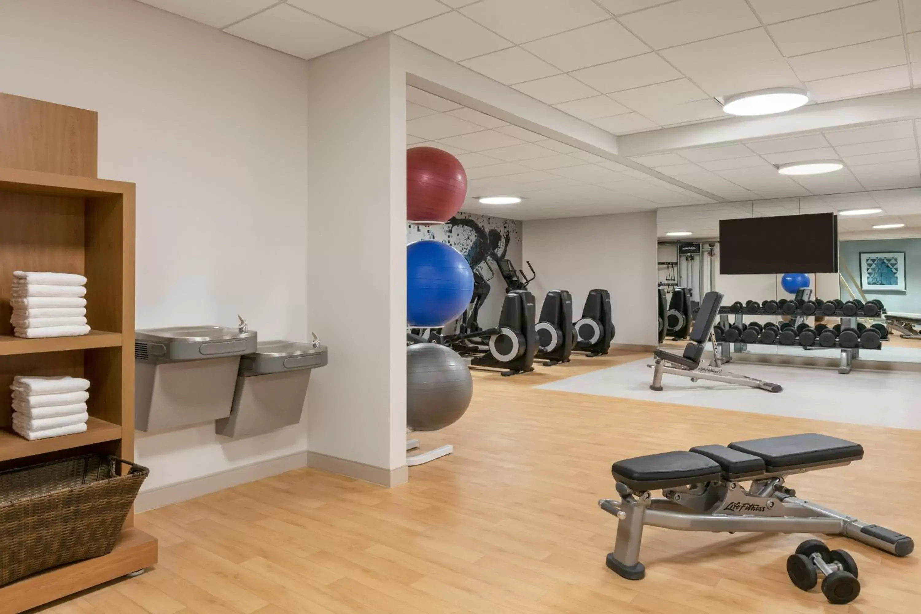 Fitness centre/facilities, Fitness Center/Facilities in Sheraton Raleigh Hotel