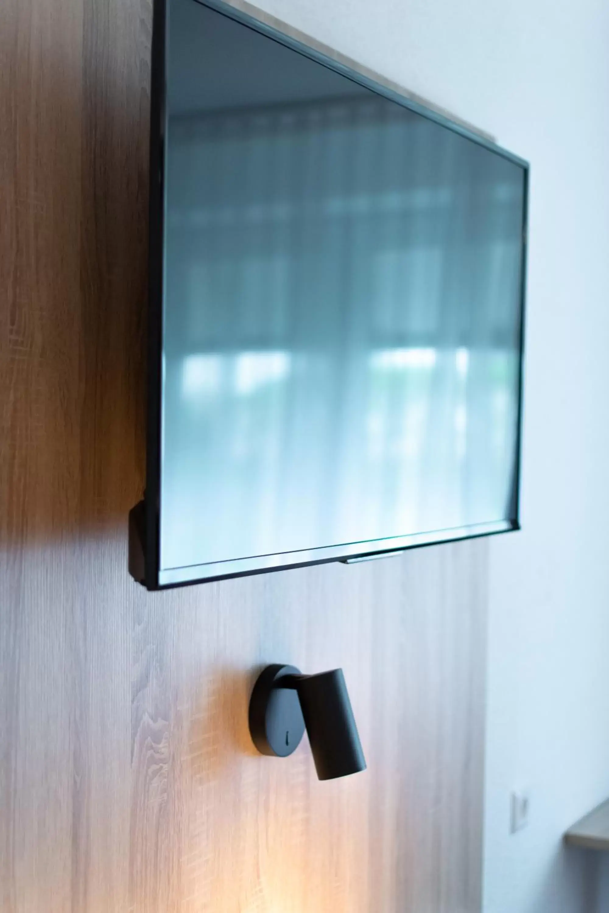 Decorative detail, TV/Entertainment Center in Taste Hotel Jettingen