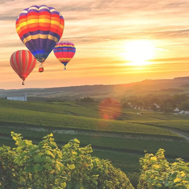 Activities in Hunter Valley Motel