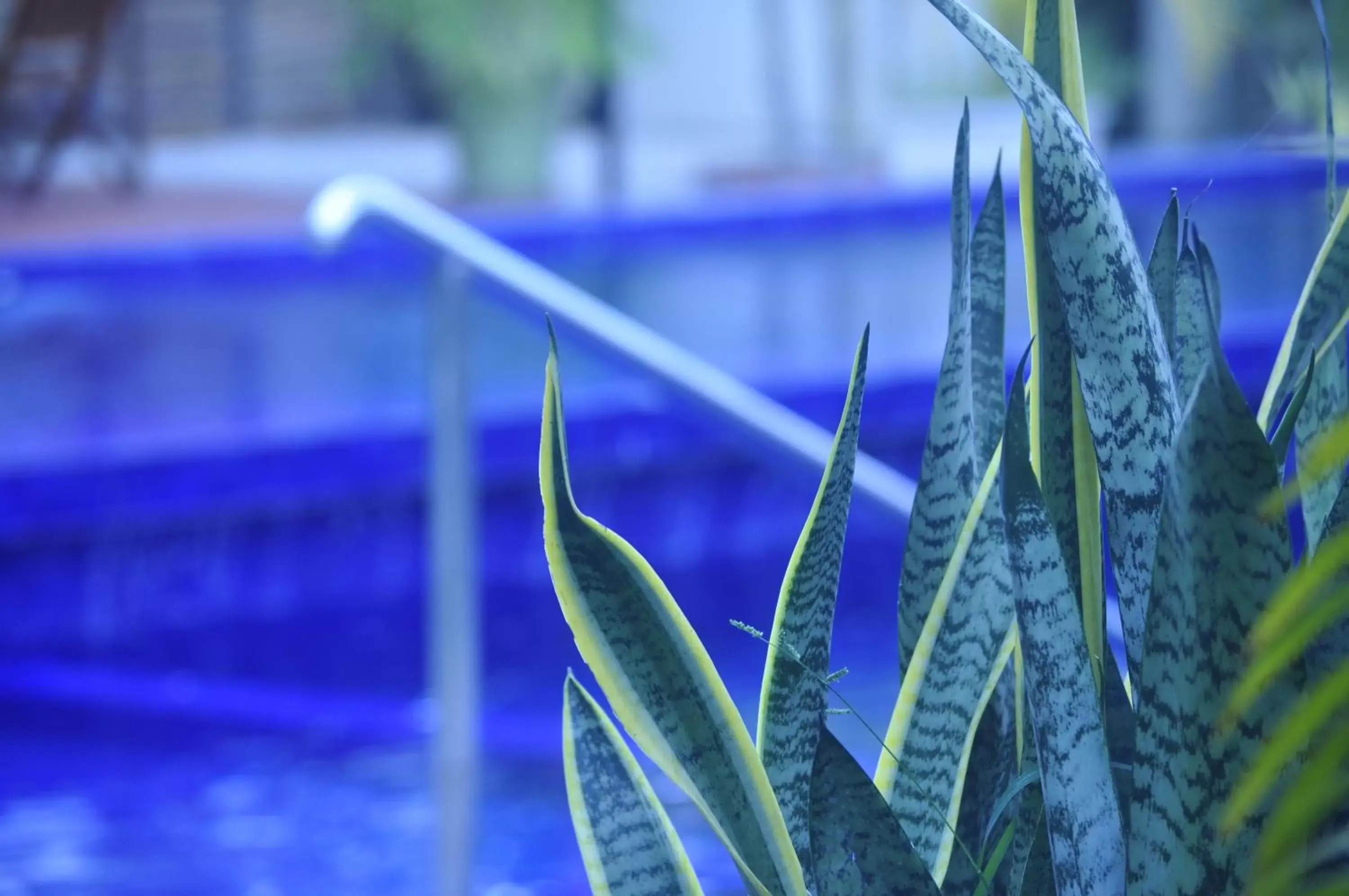 Swimming Pool in Au Cabaret Vert