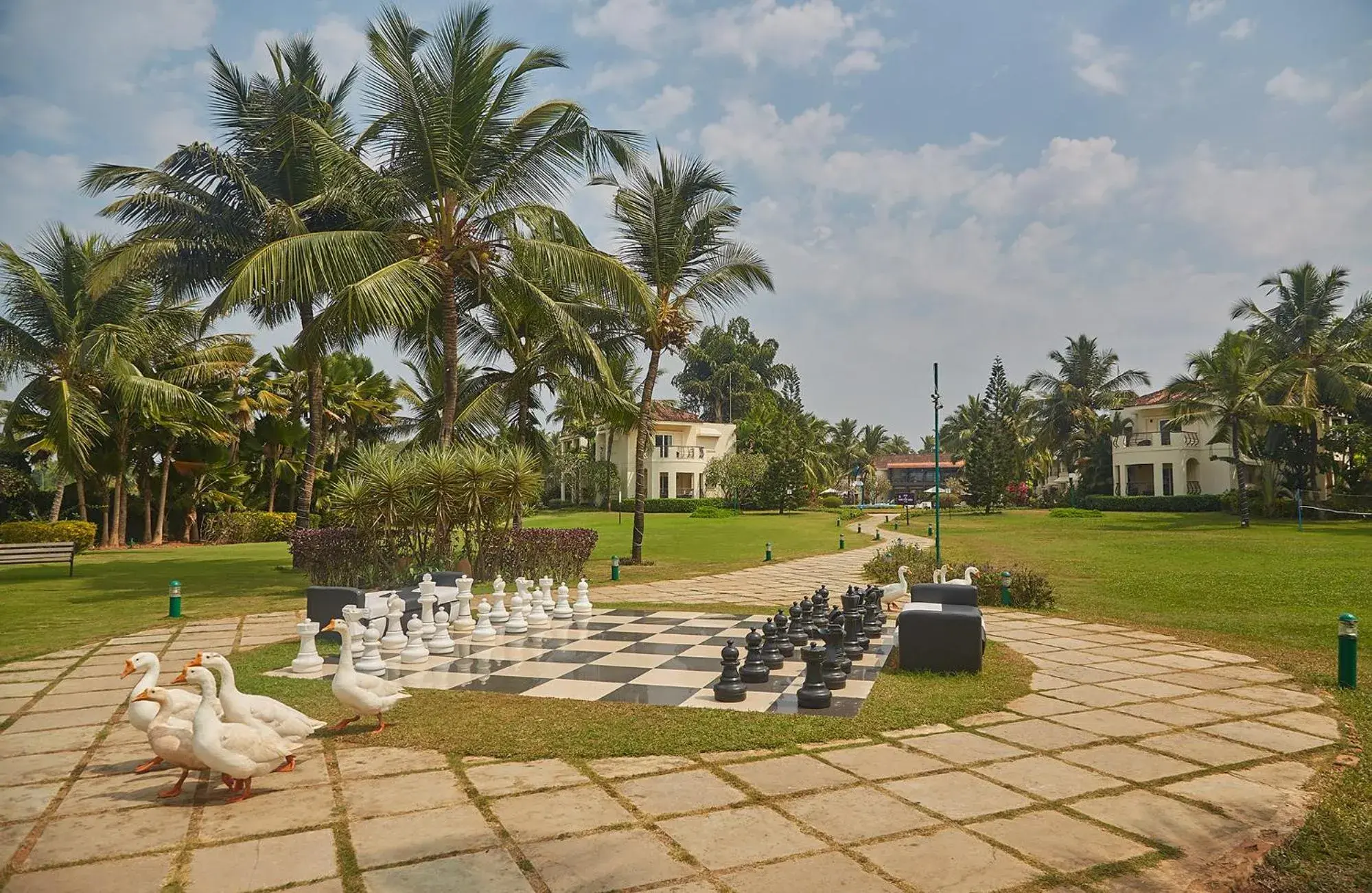 Evening entertainment, Garden in Royal Orchid Beach Resort & Spa, Utorda Beach Goa