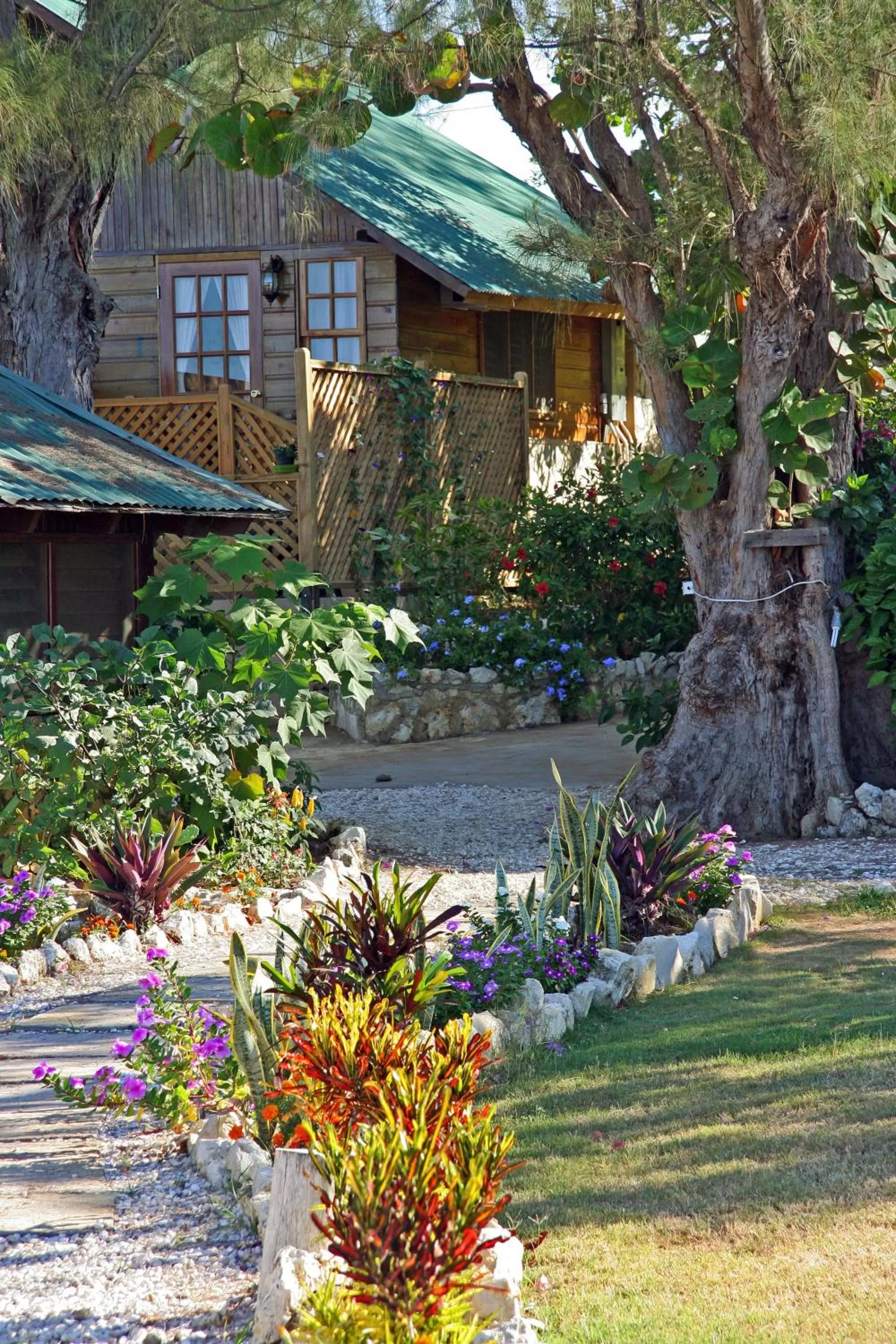 Property building in Catcha Falling Star