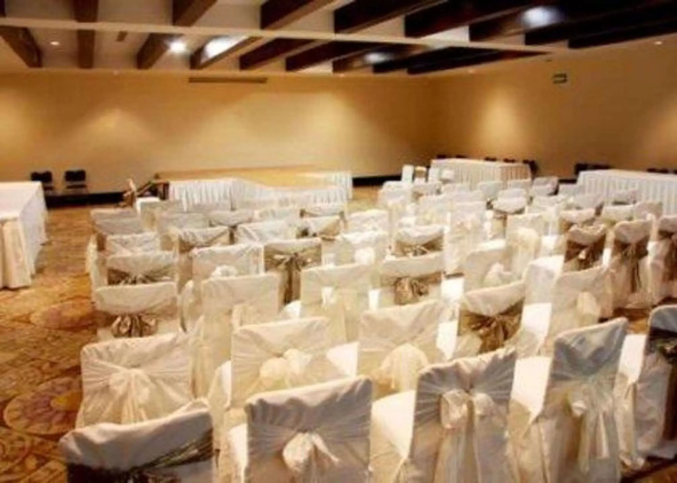 On site, Banquet Facilities in Quality Inn & Suites Saltillo Eurotel