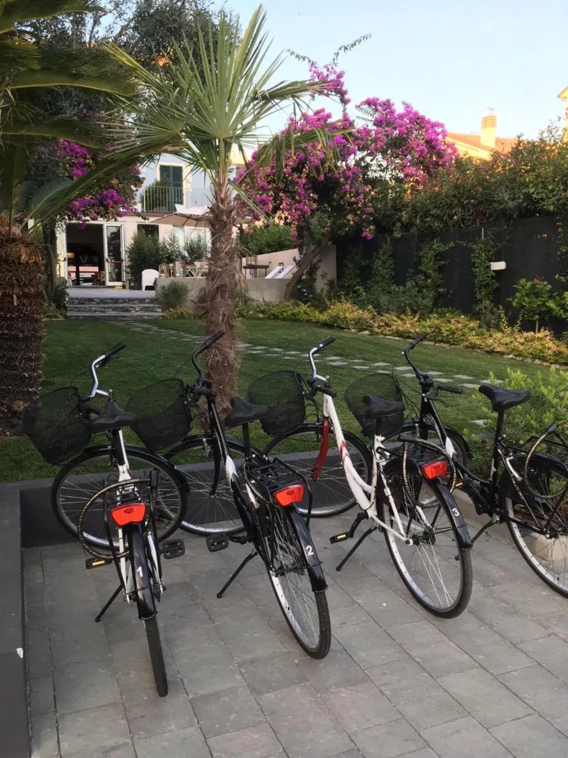 Cycling, Biking in Blu Hotel