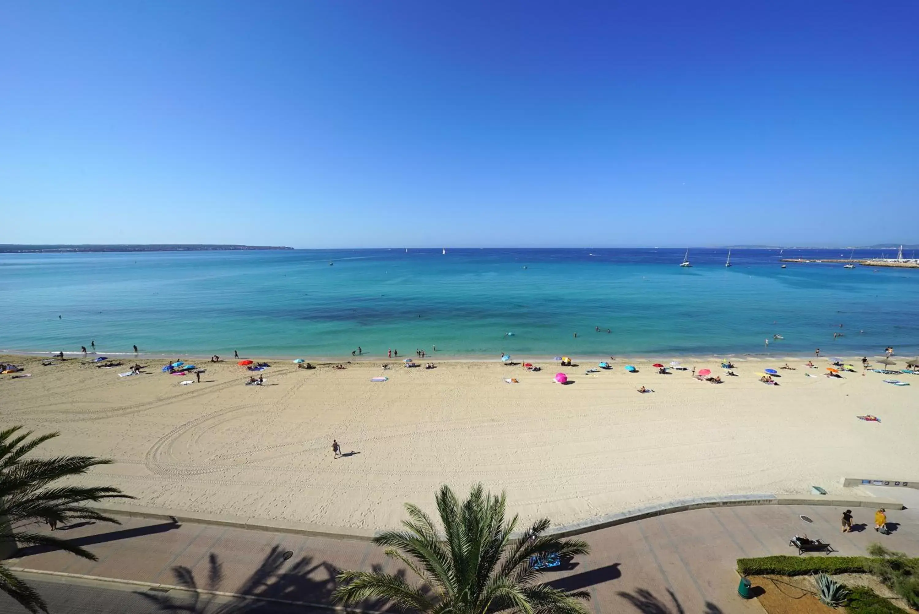 Sea view, Beach in Hotel Playa Adults Only