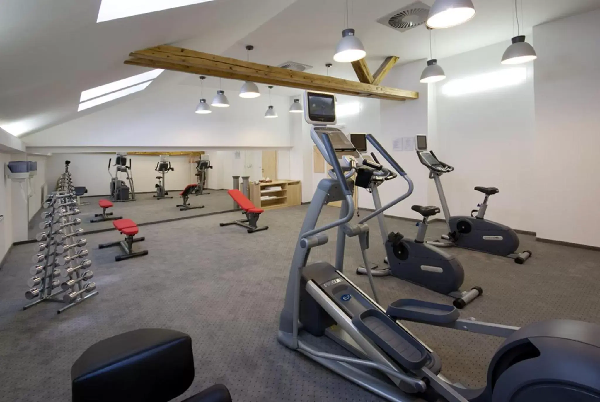 Fitness centre/facilities, Fitness Center/Facilities in Grandhotel Brno