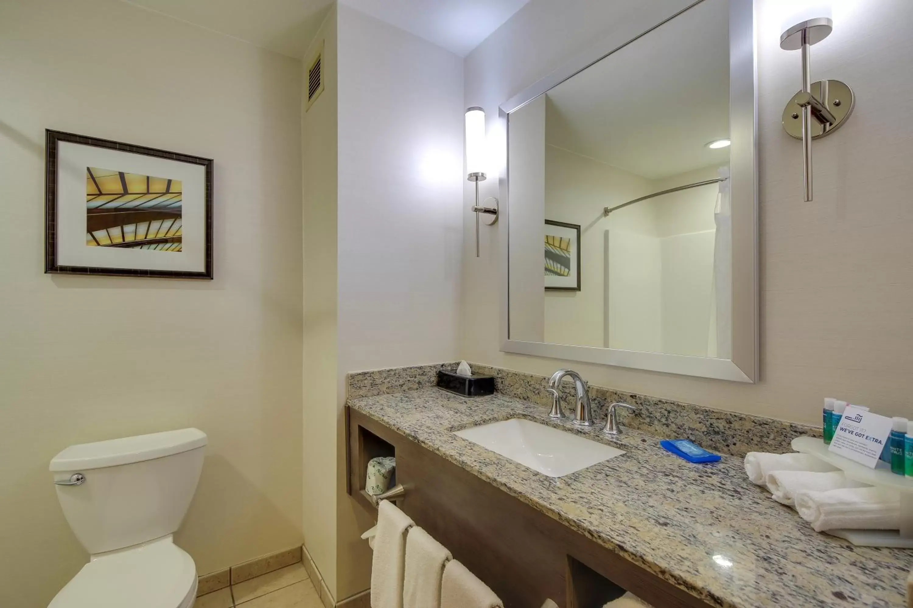 Photo of the whole room, Bathroom in Holiday Inn Express & Suites Sylva / Dillsboro, an IHG Hotel