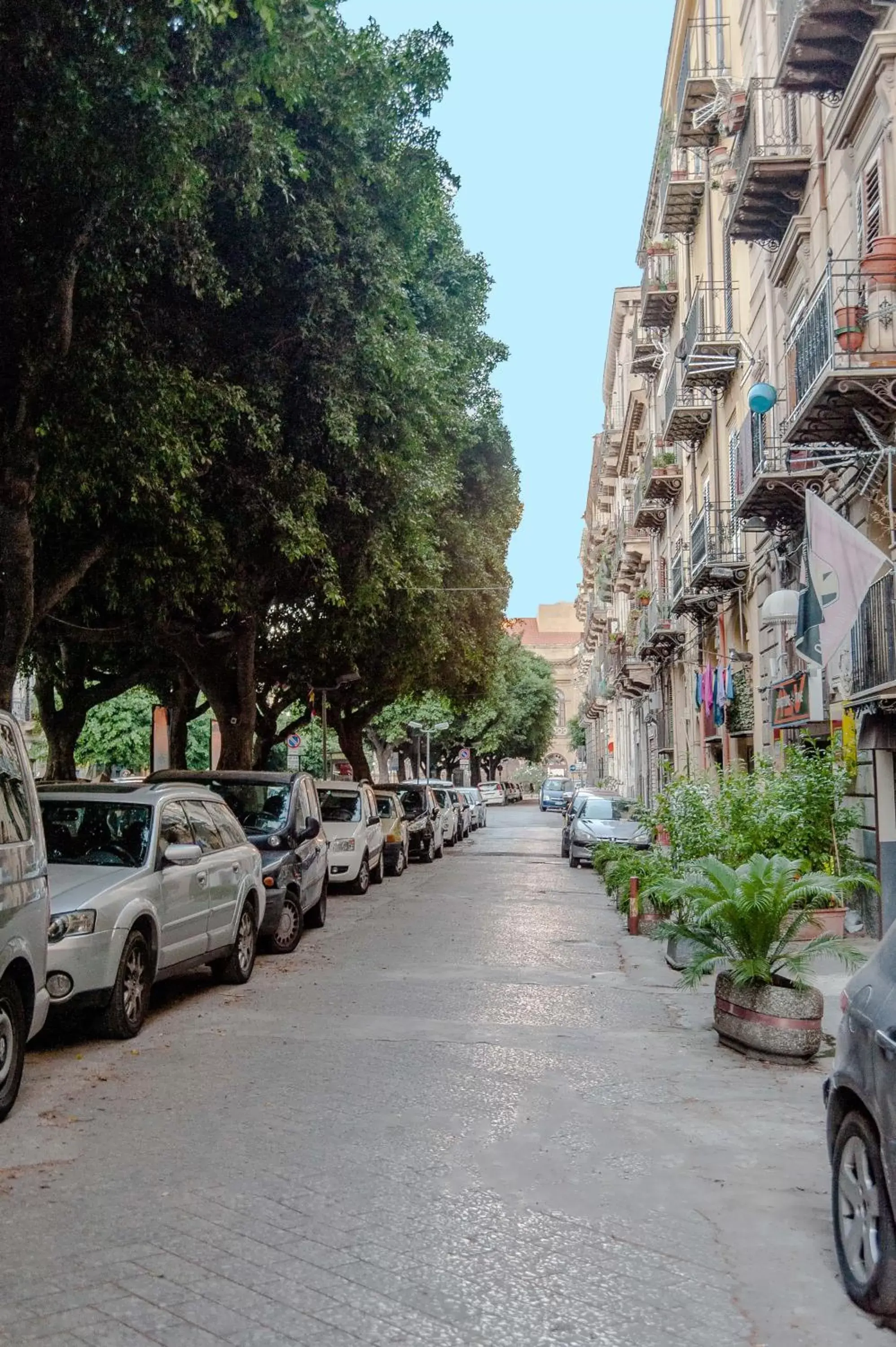 Street view, Neighborhood in L'Opera Buffa