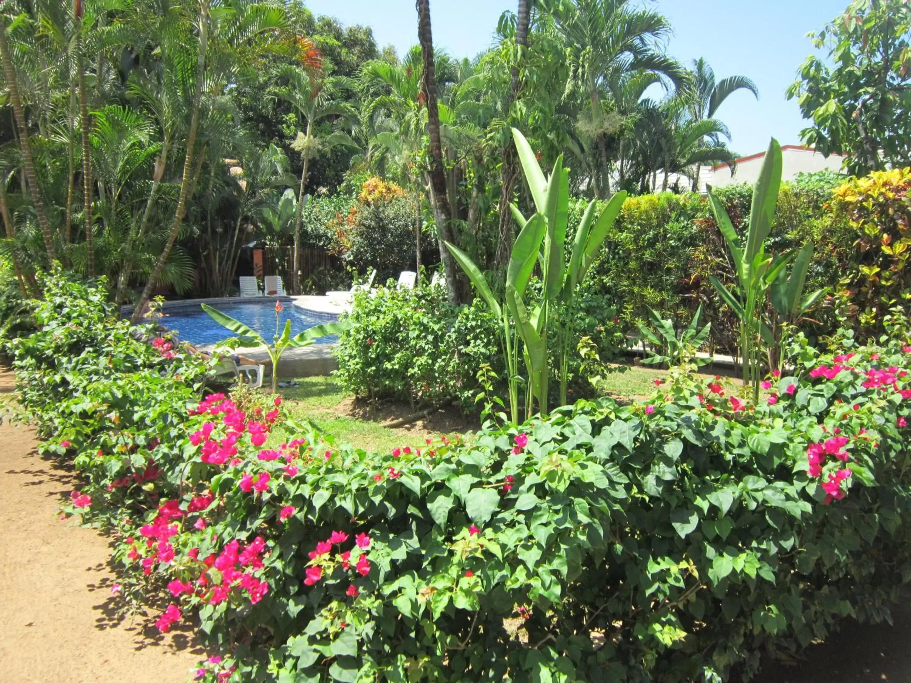 Garden in Hotel El Paraiso Escondido - Costa Rica