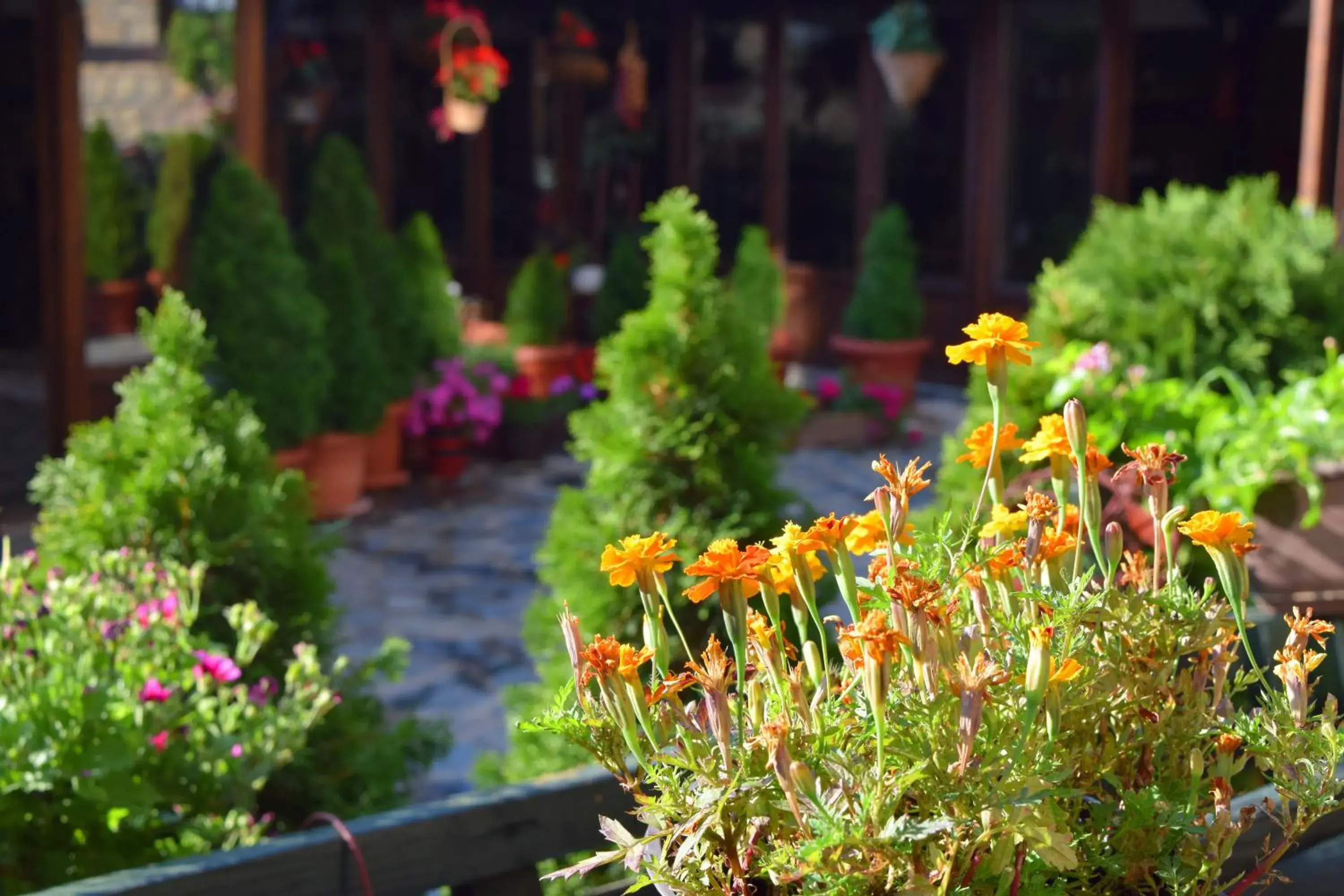 Patio, Garden in Hotel Theatre