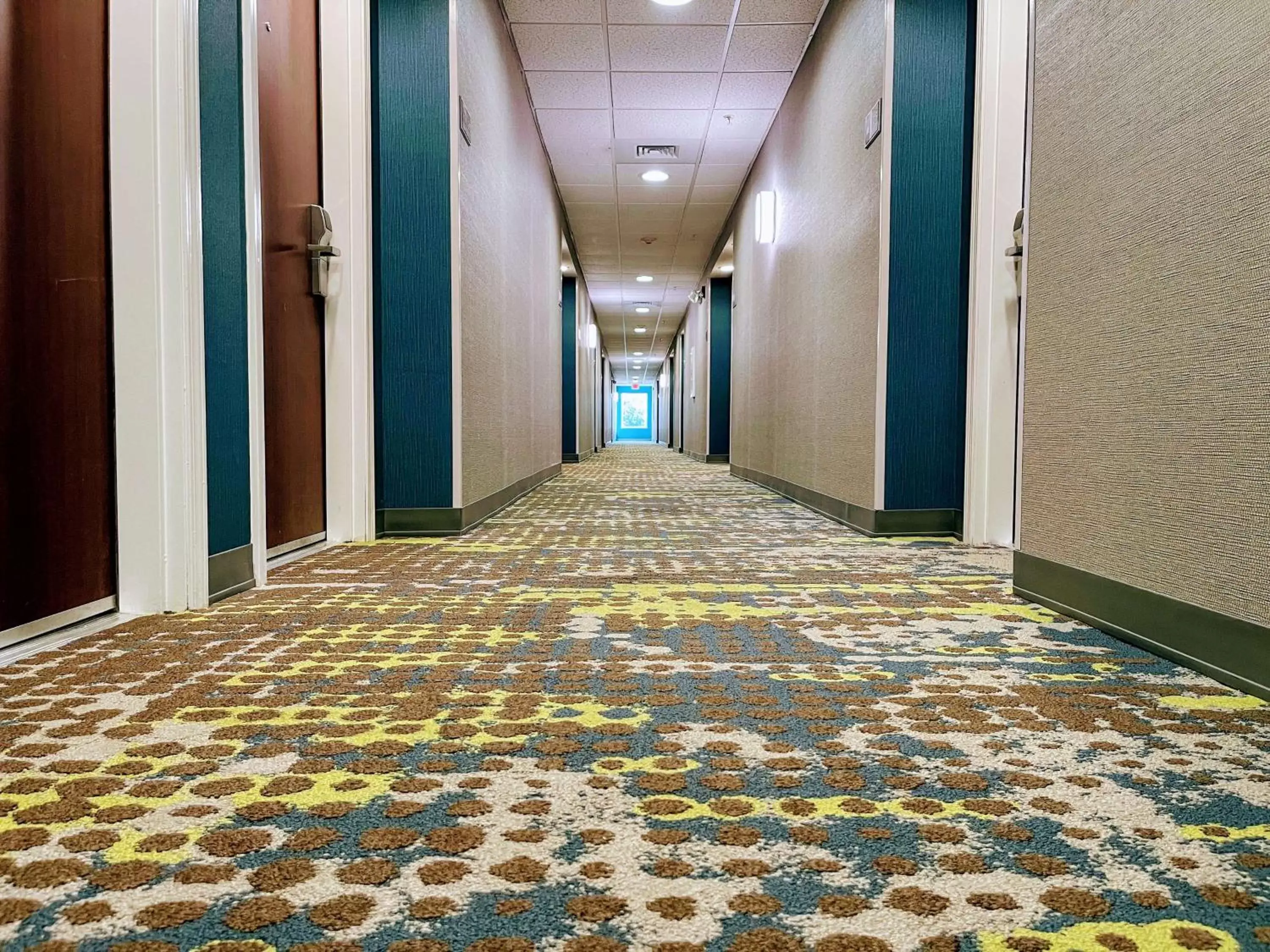 Photo of the whole room in Hampton Inn & Suites Pensacola I-10 N at University Town Plaza