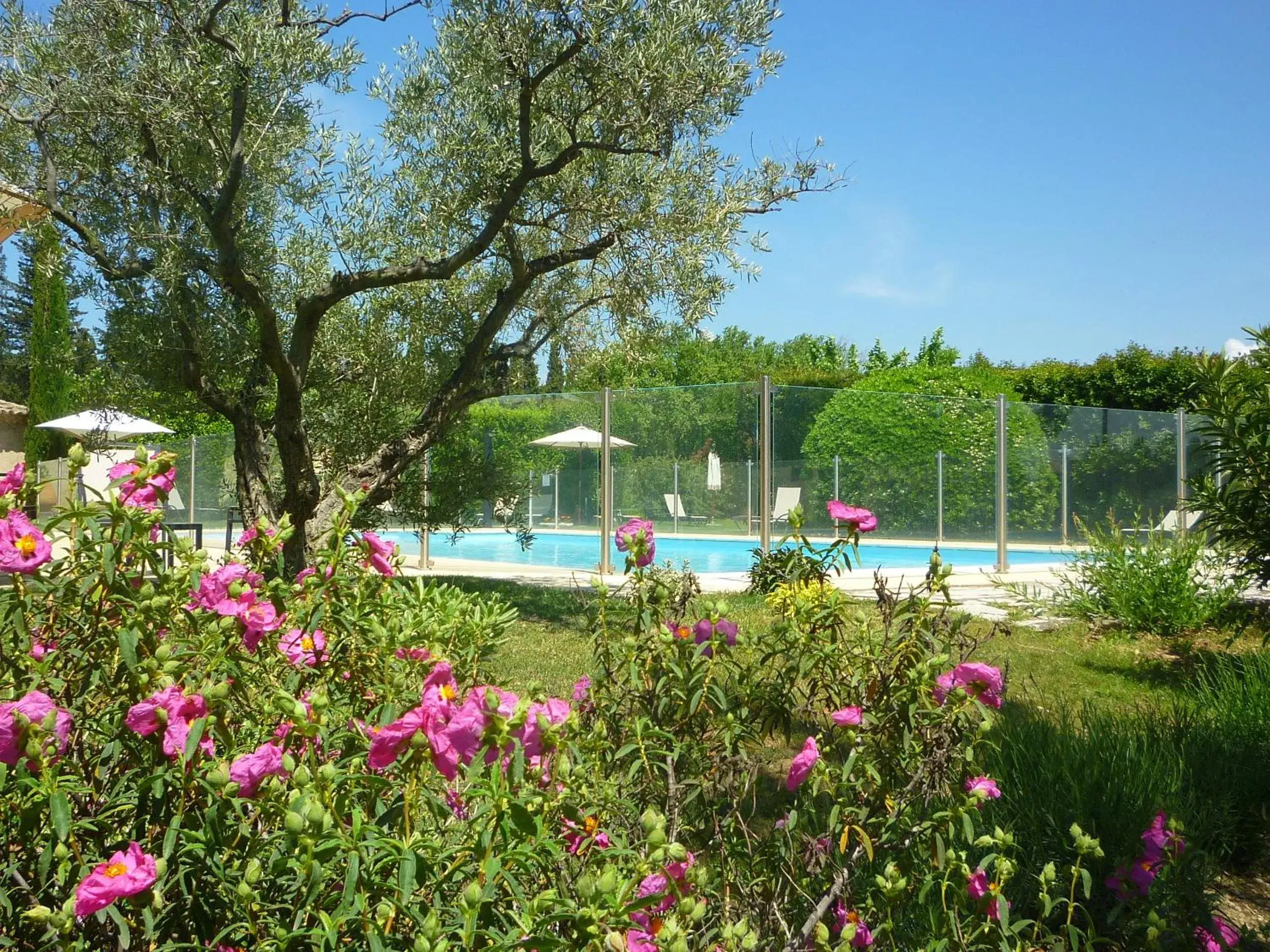 Garden, Swimming Pool in Val Baussenc, The Originals Relais (Relais du Silence)