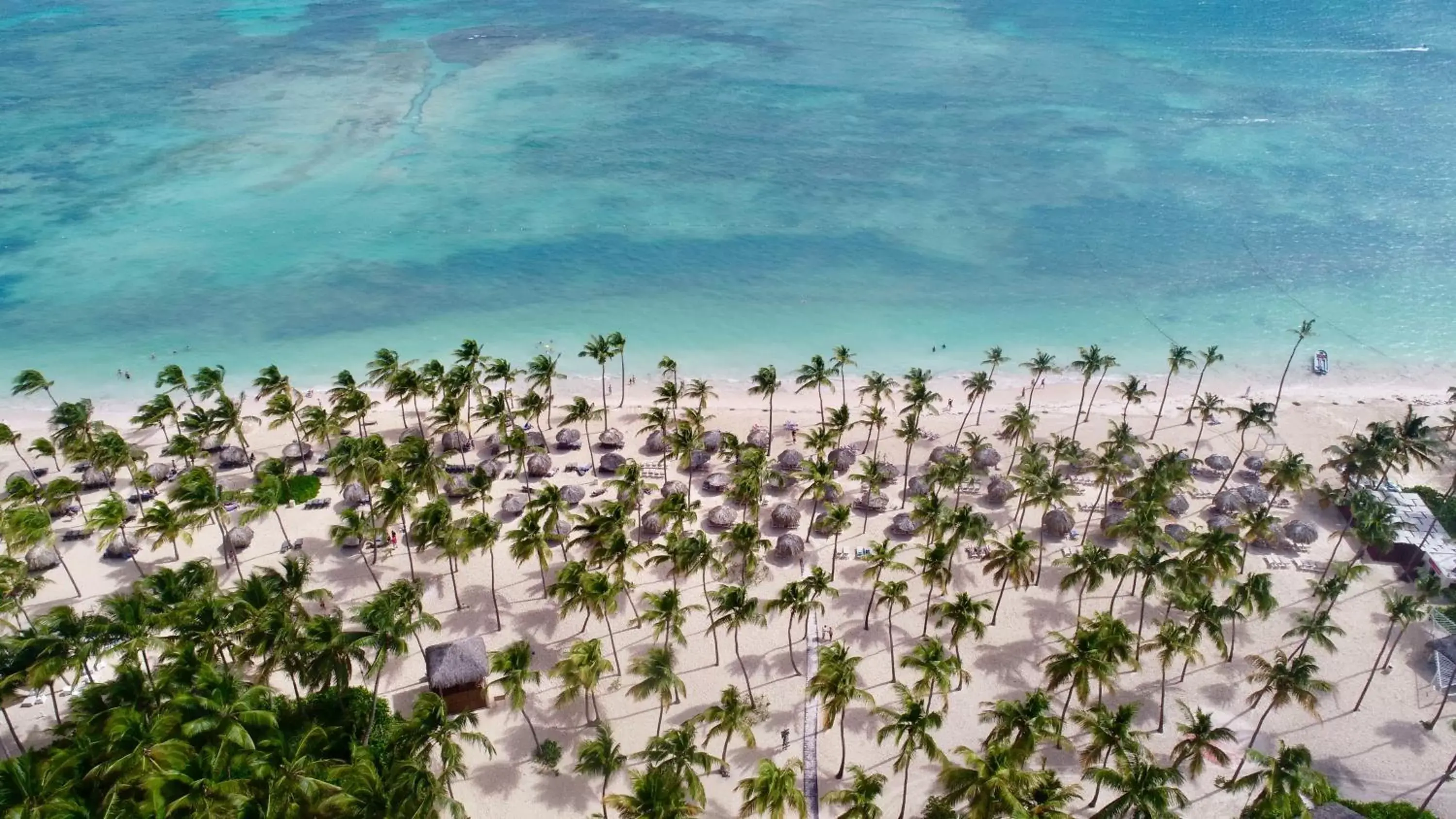 Bird's eye view in Catalonia Punta Cana - All Inclusive