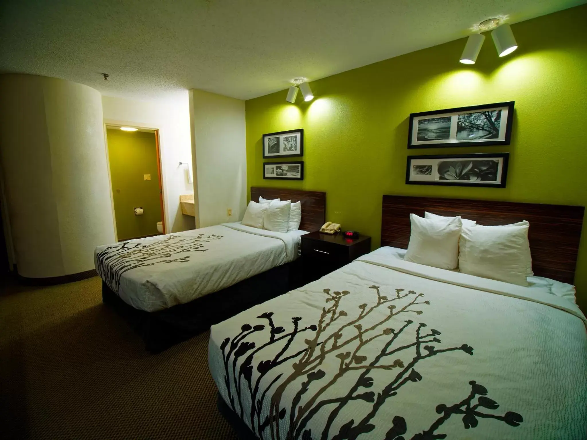 Photo of the whole room, Bed in Sleep Inn Morganton