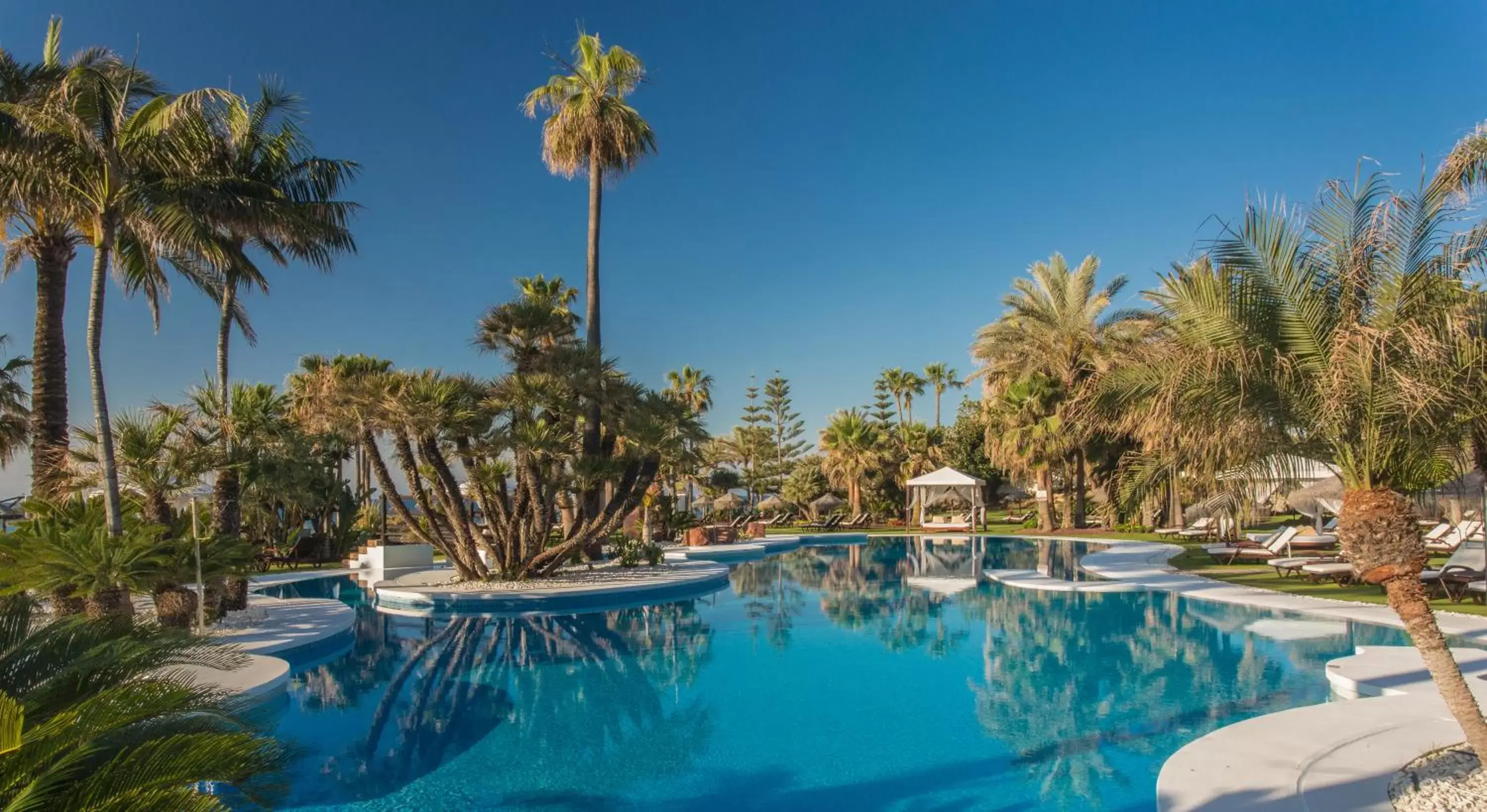 Garden, Swimming Pool in Kempinski Hotel Bahía Beach Resort & Spa