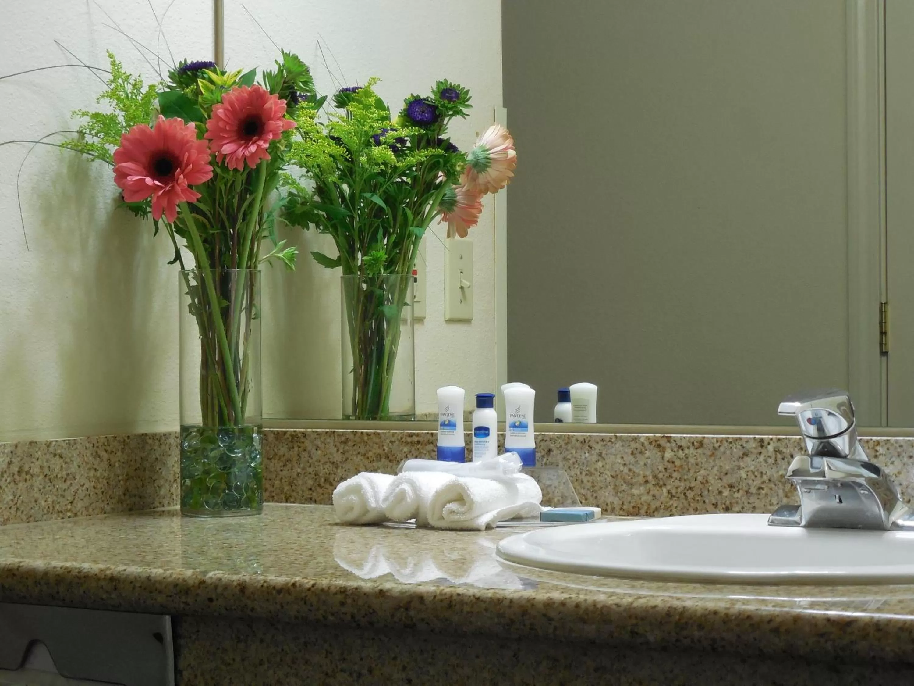 King Room - single occupancy - Pet-Friendly in Best Western John Jay Inn