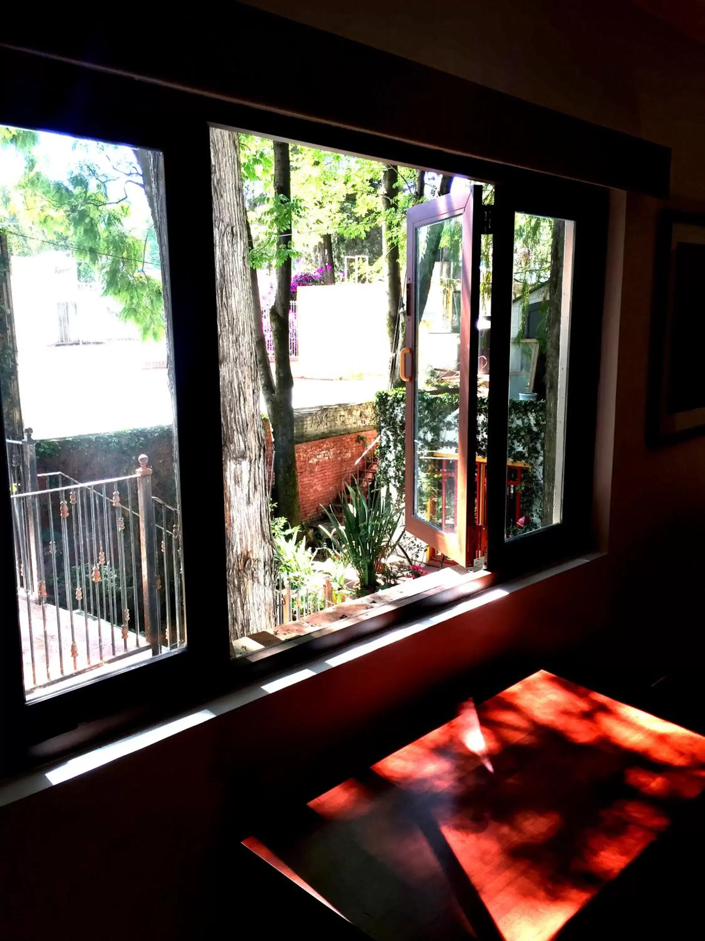 Garden view, View in Casa Jacinta Guest House