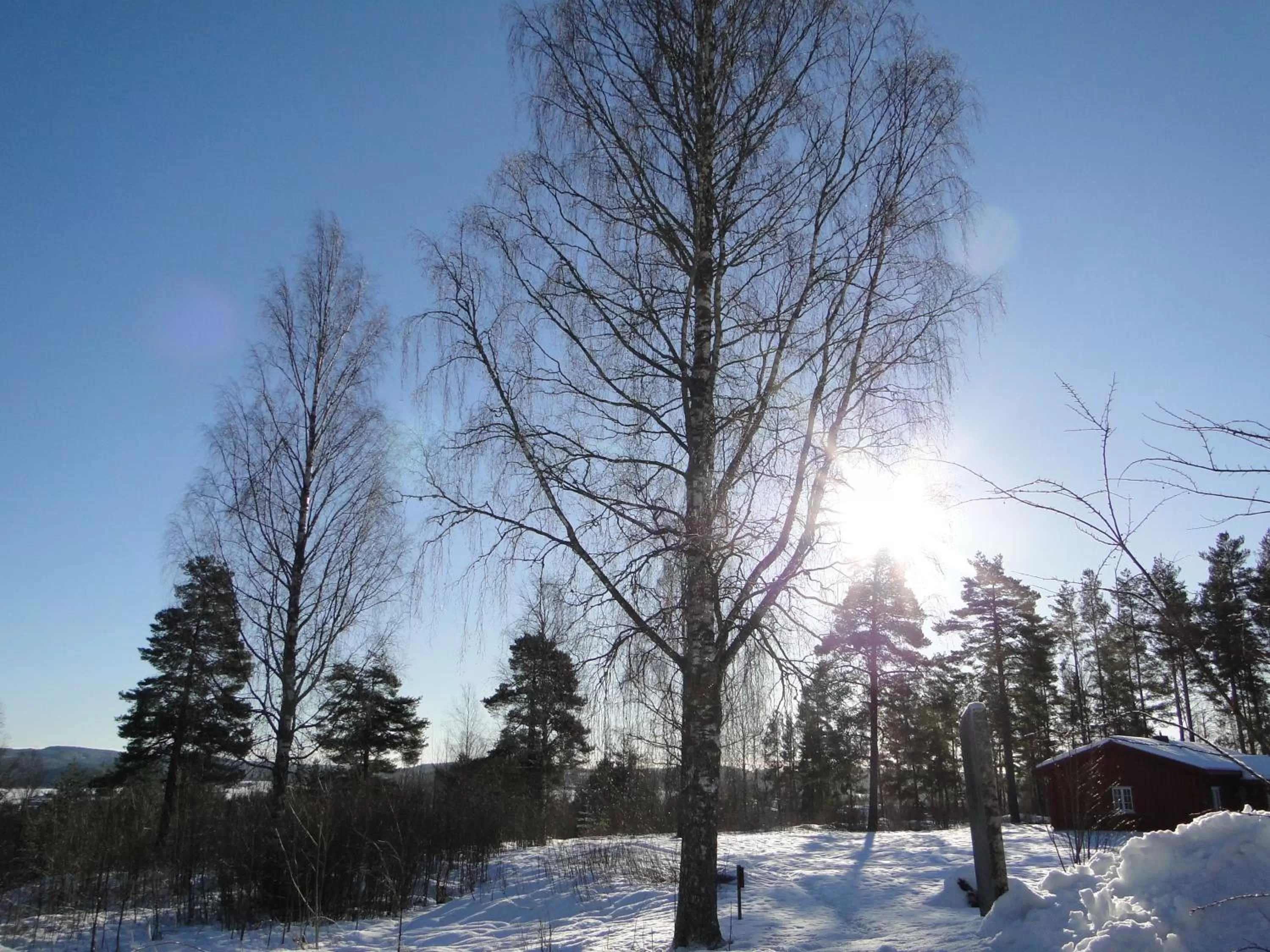 Day in Sunne Hembygdsgård B&B