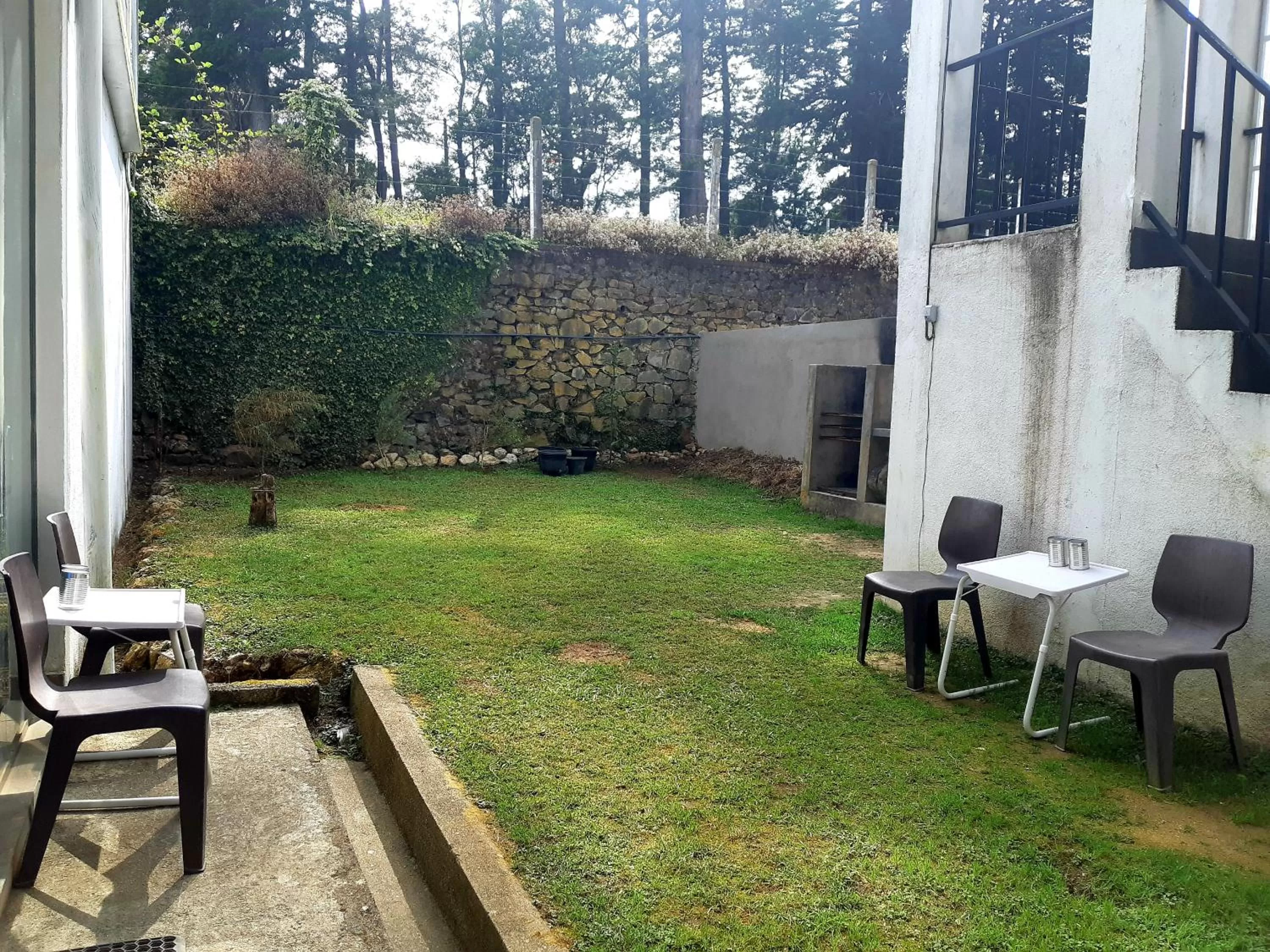 Garden in Siril Guesthouse Hostel