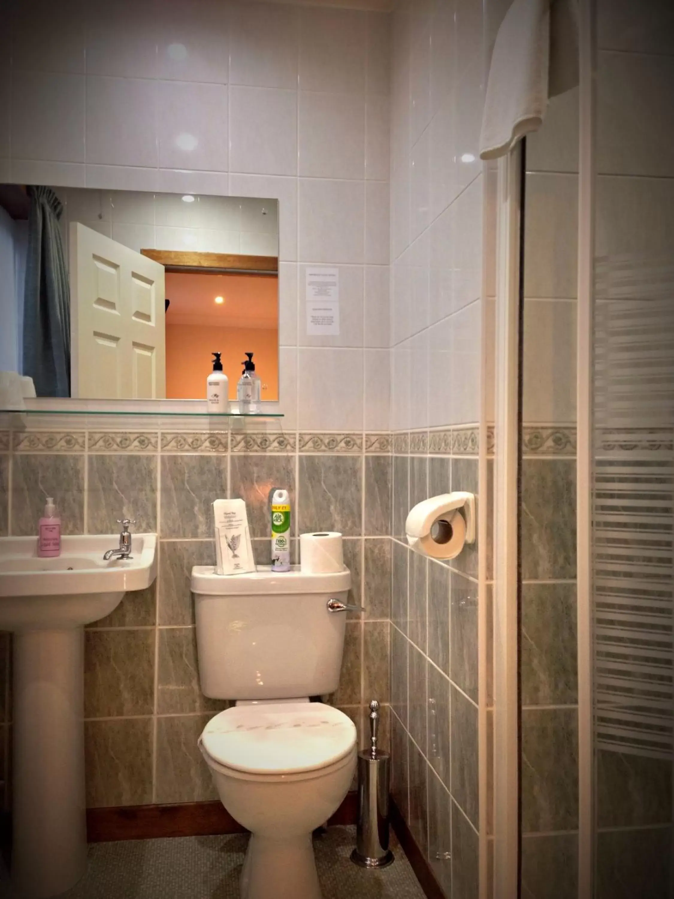 Shower, Bathroom in Buttonboss Lodge B&B