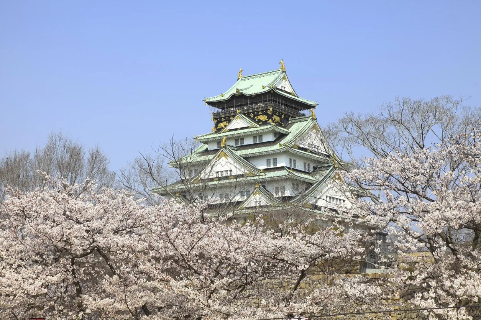 Spring in Hotel CoCoDe Plus