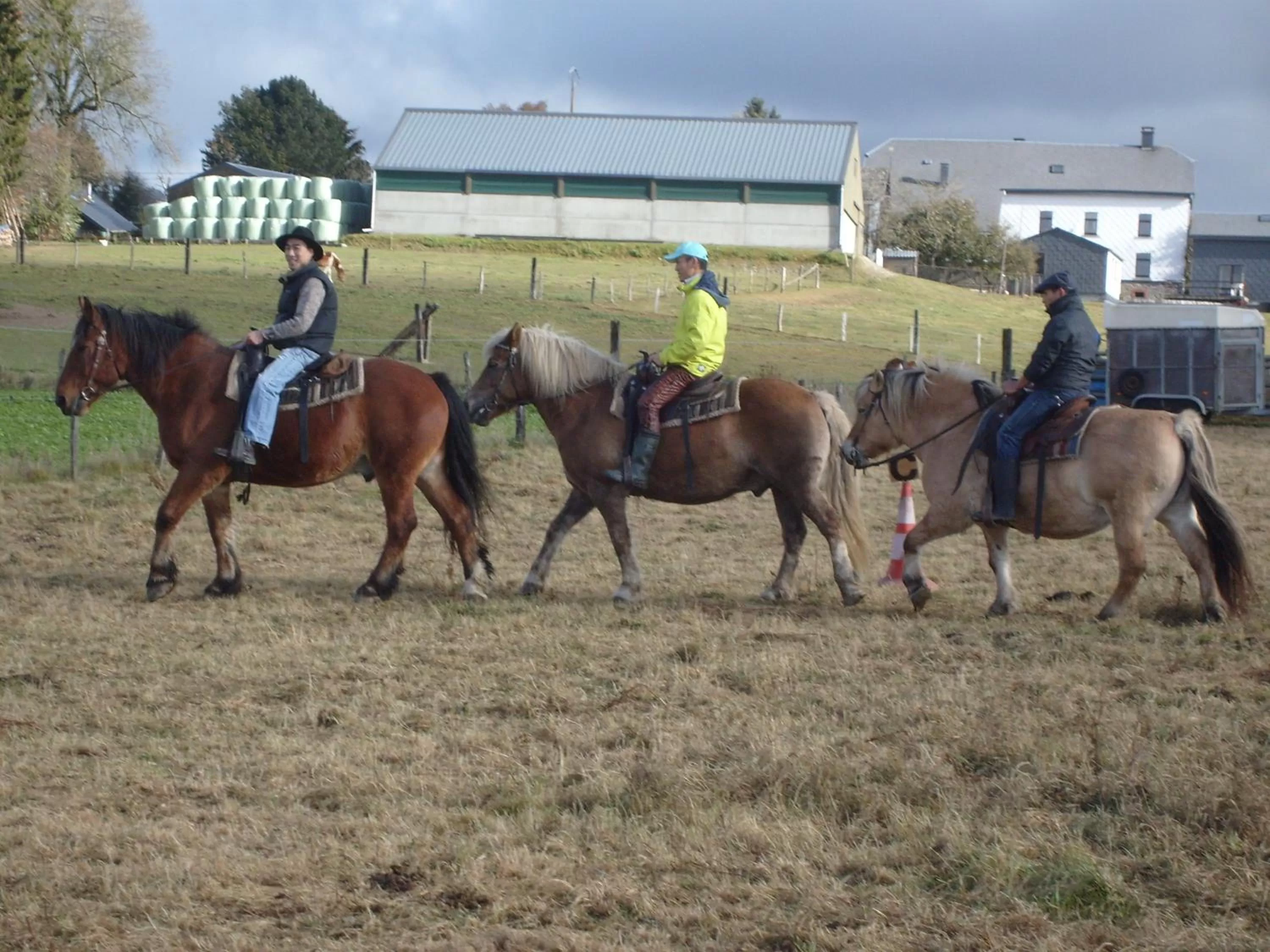 Horse-riding, Horseback Riding in B&B Willow Springs Way Station