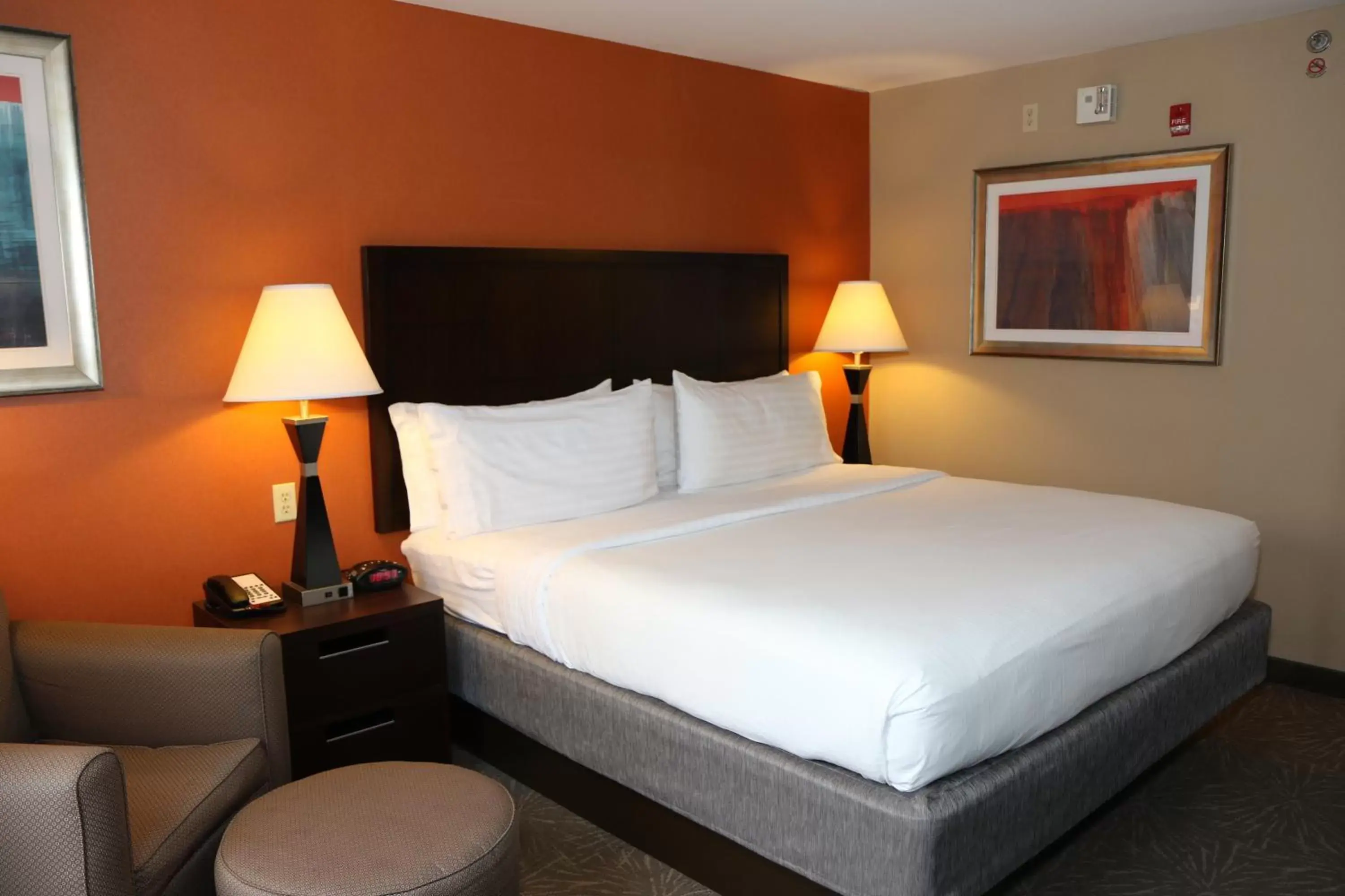 Photo of the whole room, Bed in Holiday Inn Express Pittsburgh - Munhall, an IHG Hotel