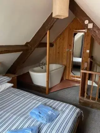 Bunk Bed in Discovery Accommodation