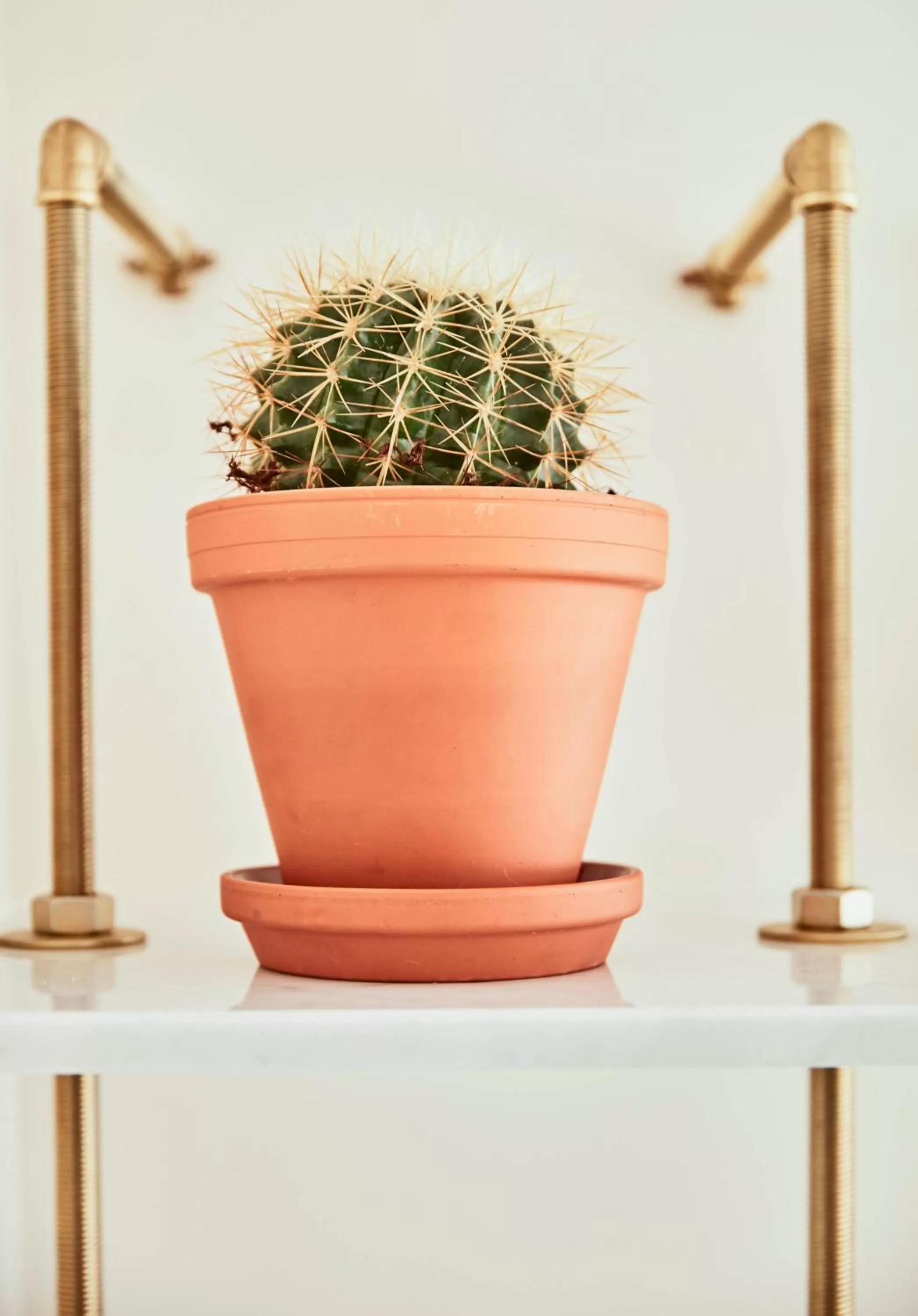 Decorative detail in Max Brown Hotel Midtown, part of Sircle Collection