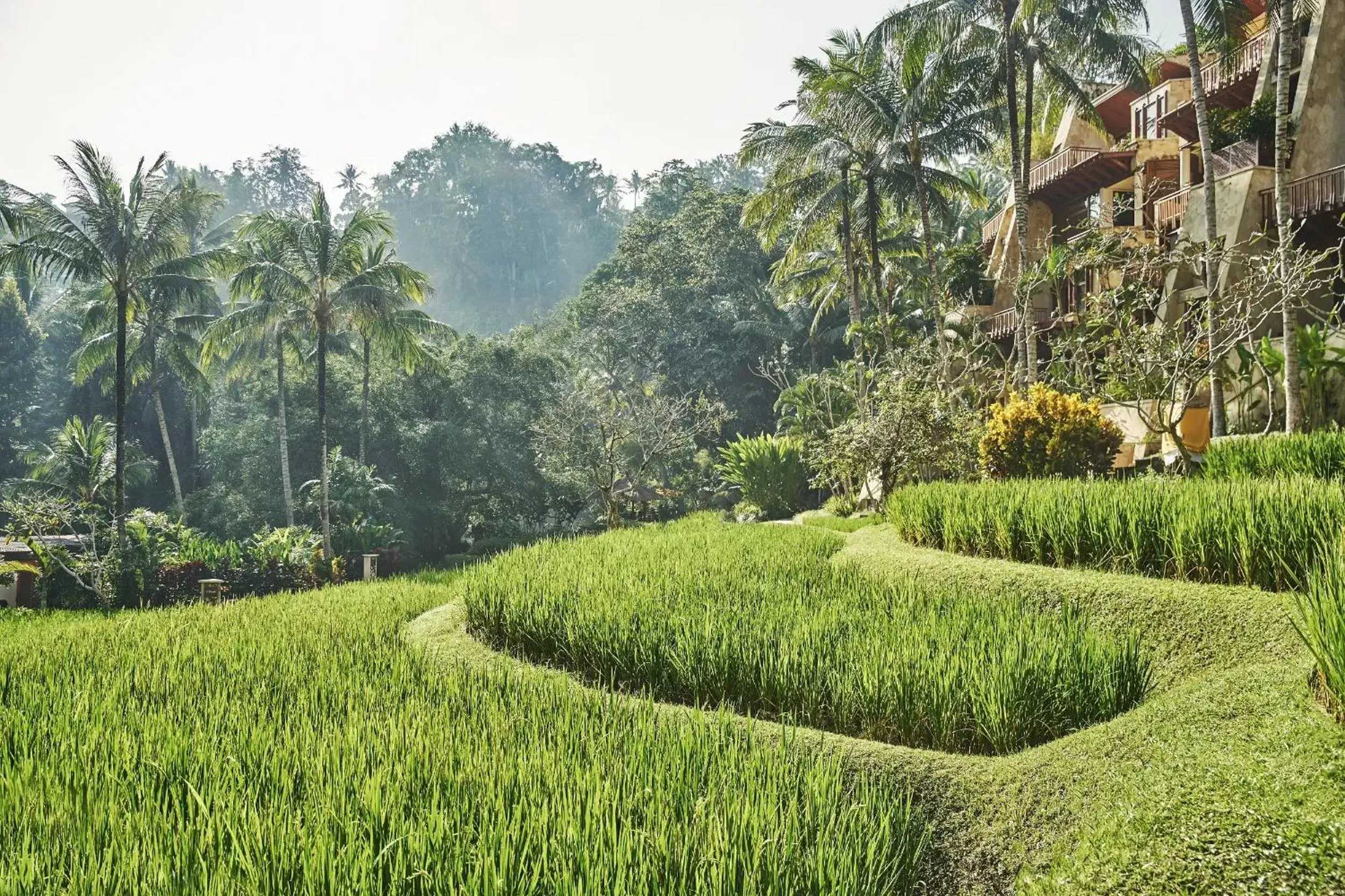 View (from property/room) in Four Seasons Resort Bali at Sayan