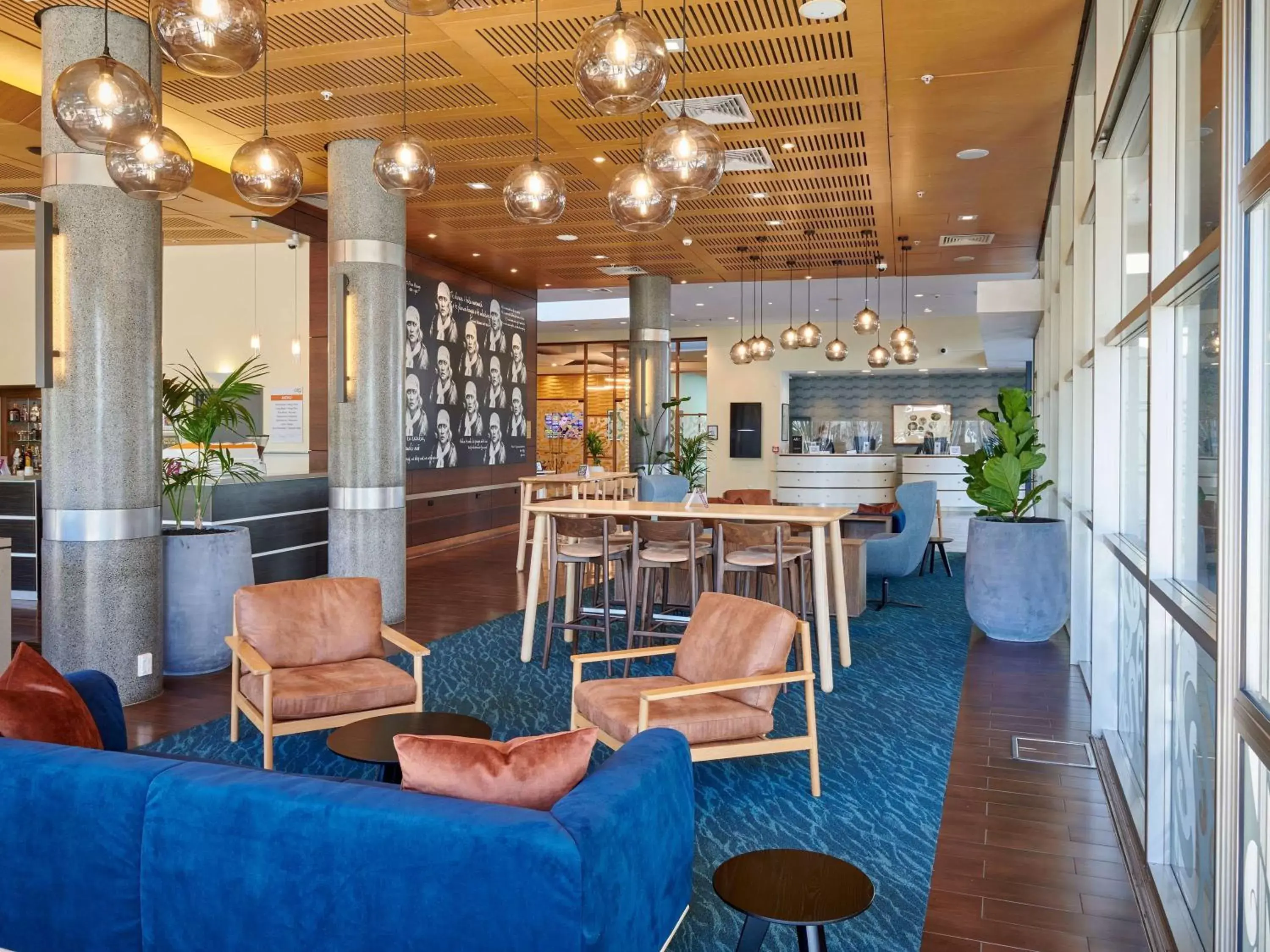 Lounge or bar, Lobby/Reception in Novotel Tainui Hamilton