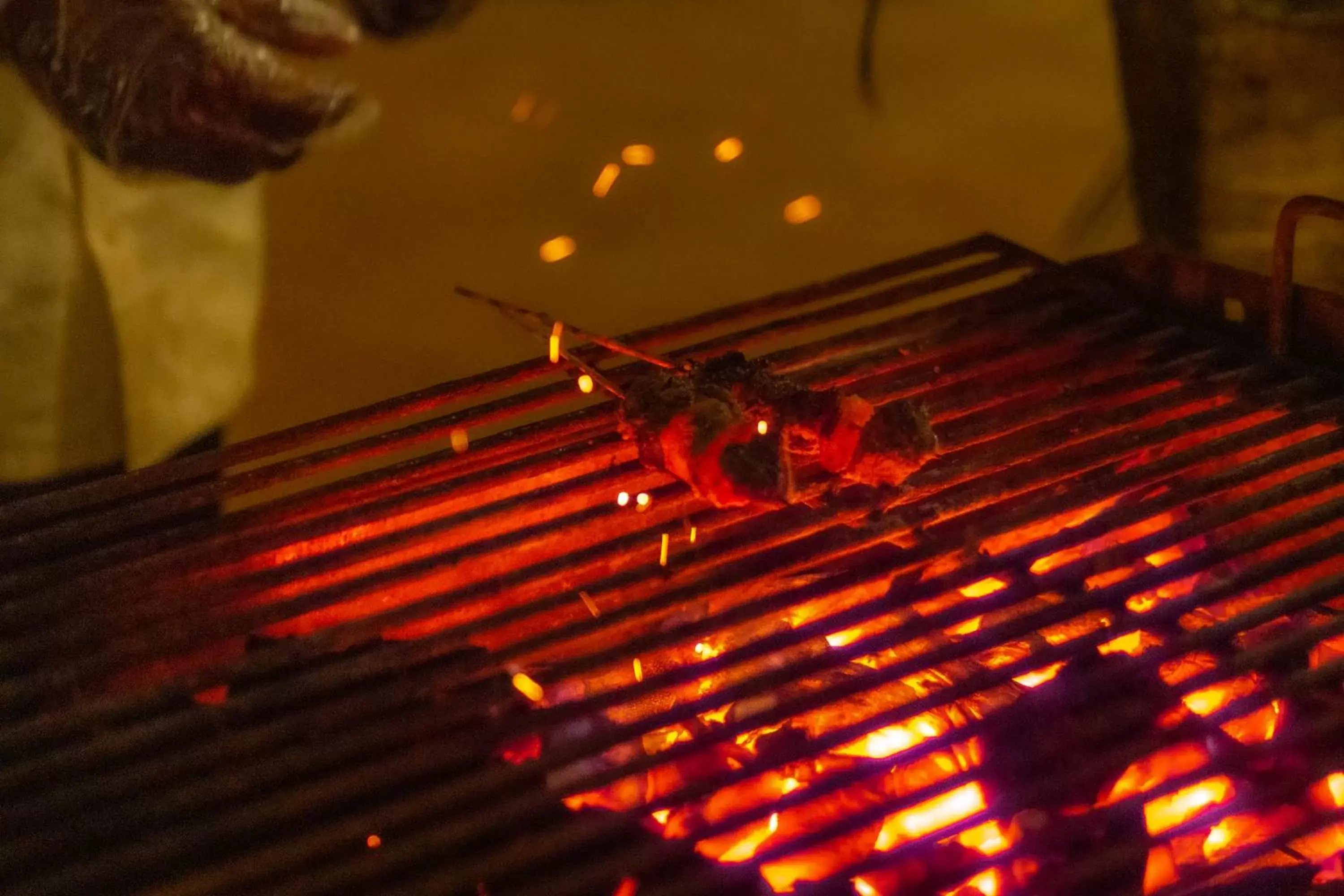 BBQ Facilities in Tanzanite Beach Resort