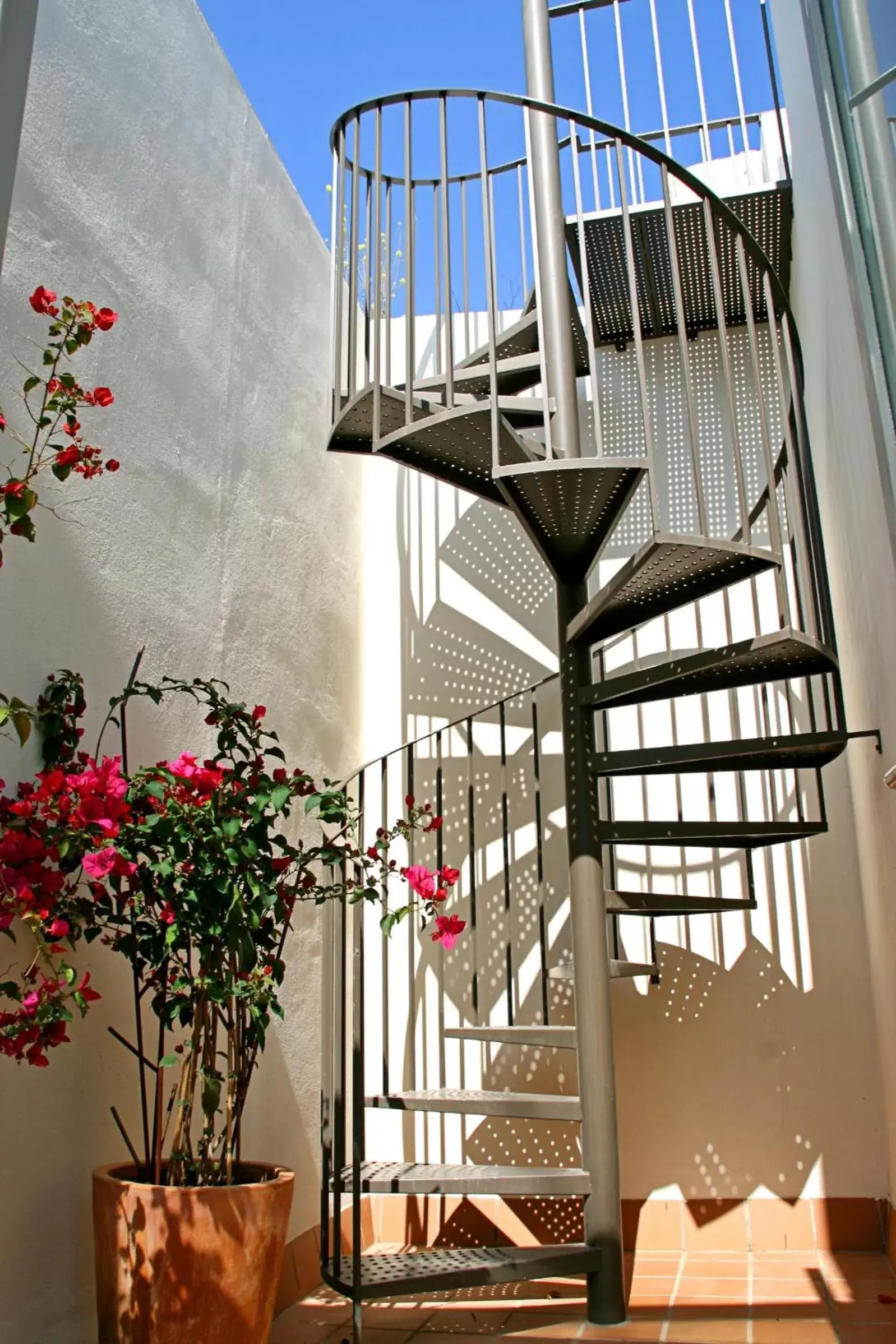 Balcony/Terrace in Hotel Boutique Casas de Santa Cruz