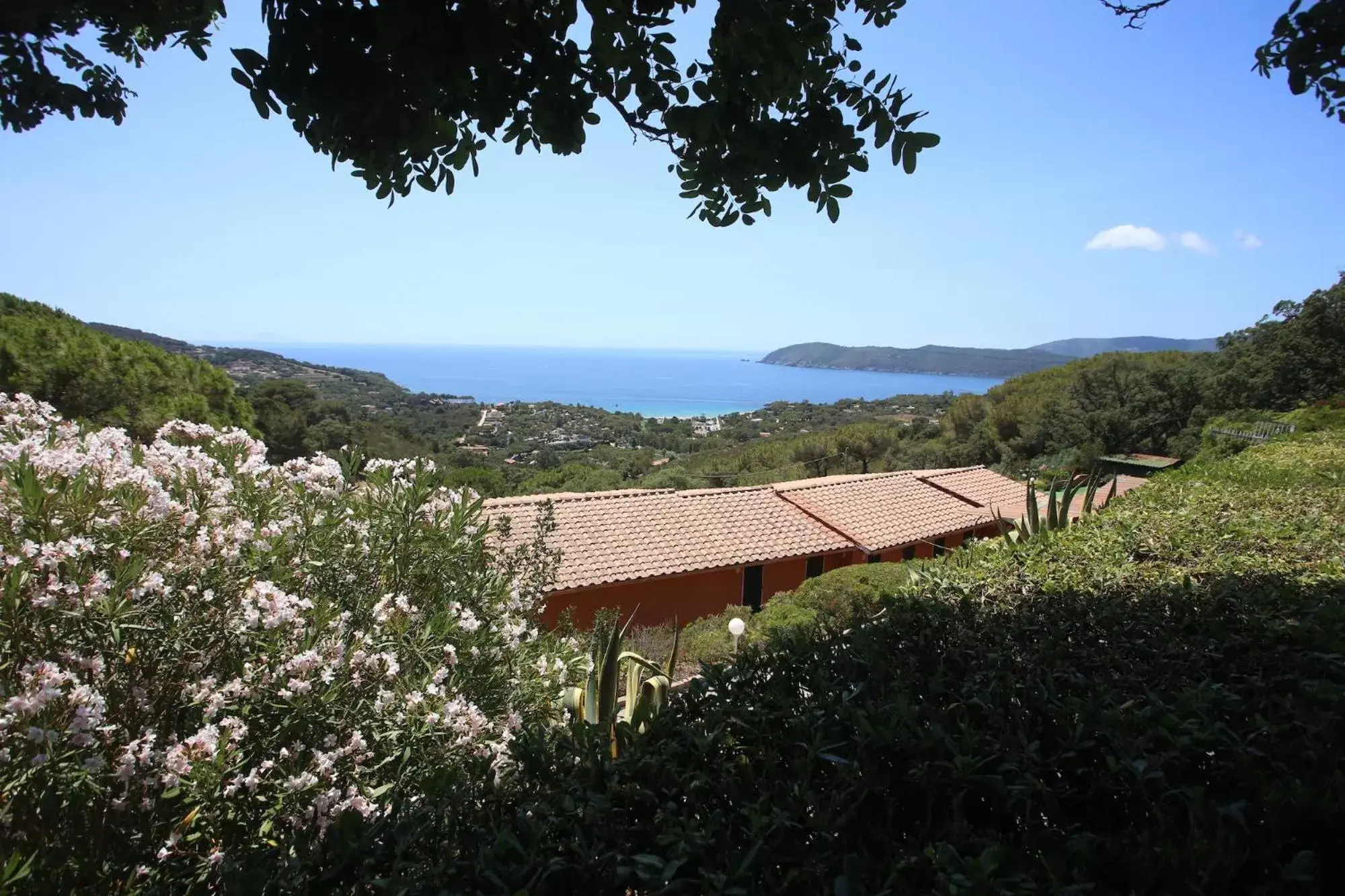 Garden in Ca' La Stella Sea-view Apartments