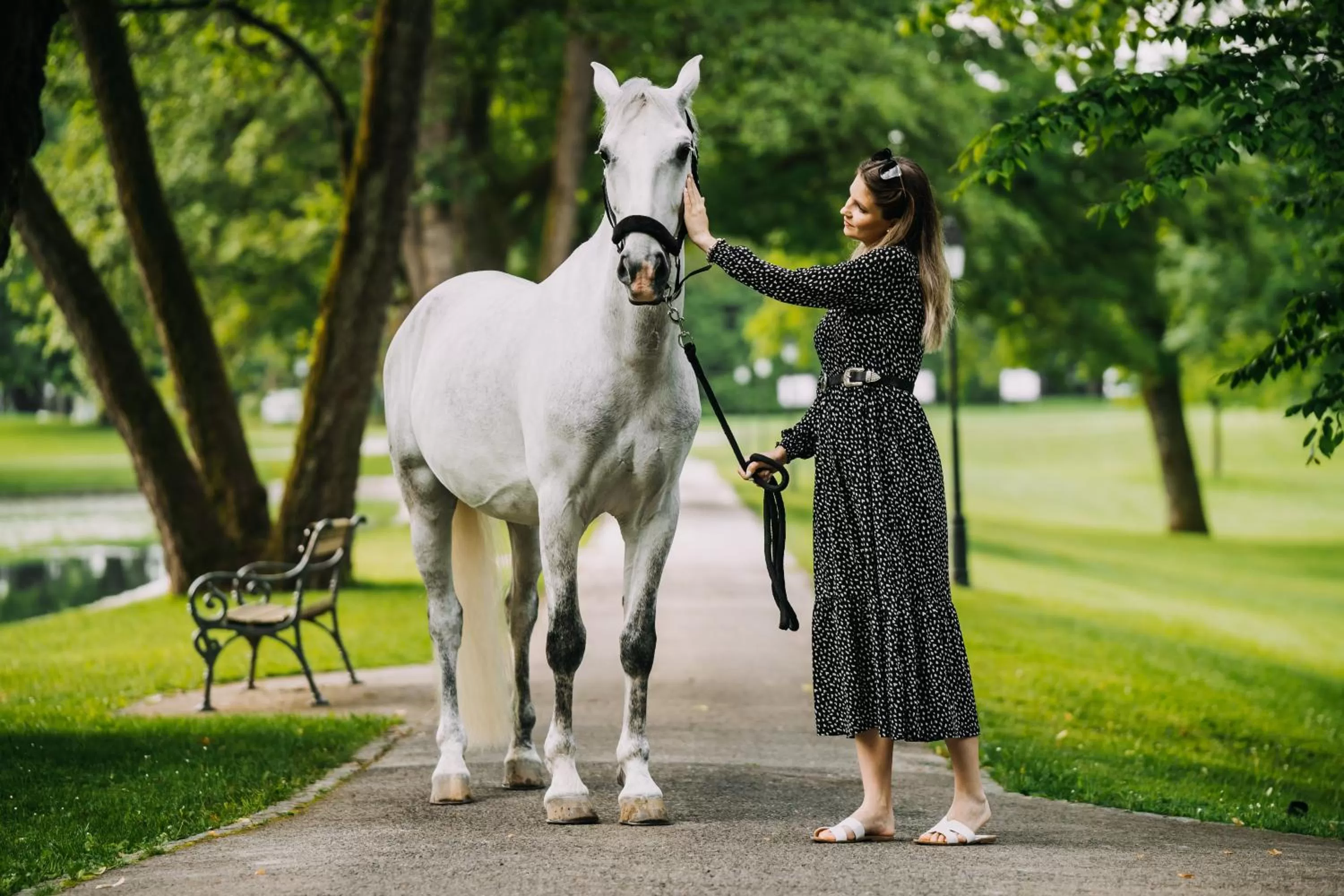 Garden in Elegans Hotel Brdo