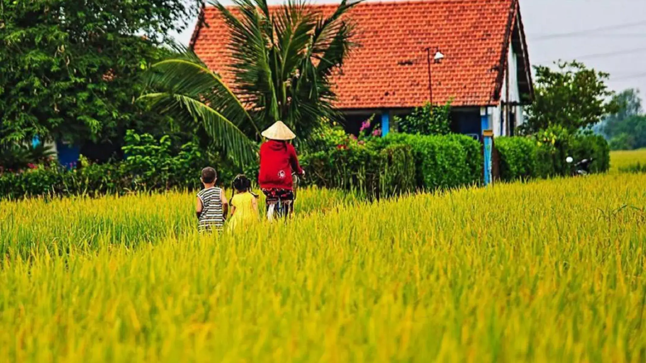 Garden view, Children in Flame Flowers Homestay