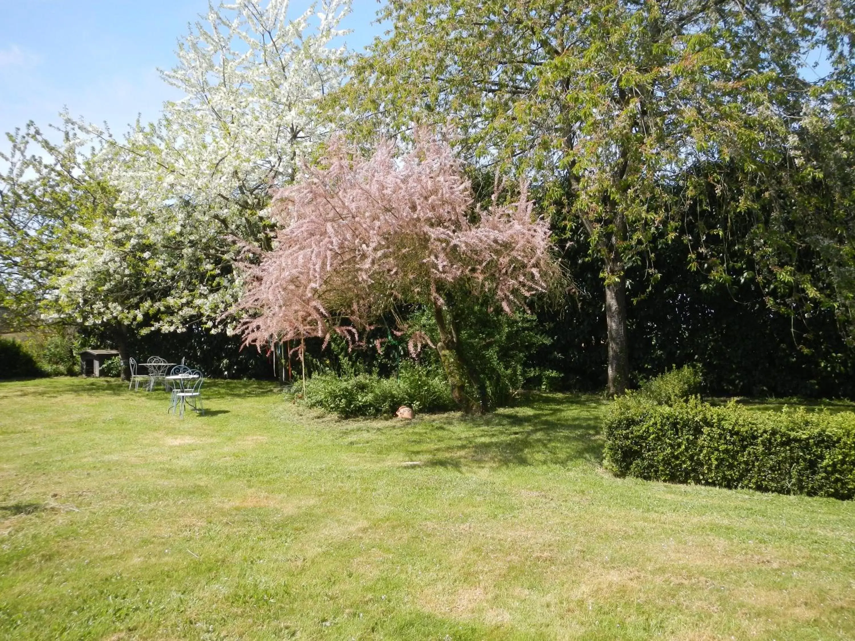 Garden in Le Presbytère de Saint Malon