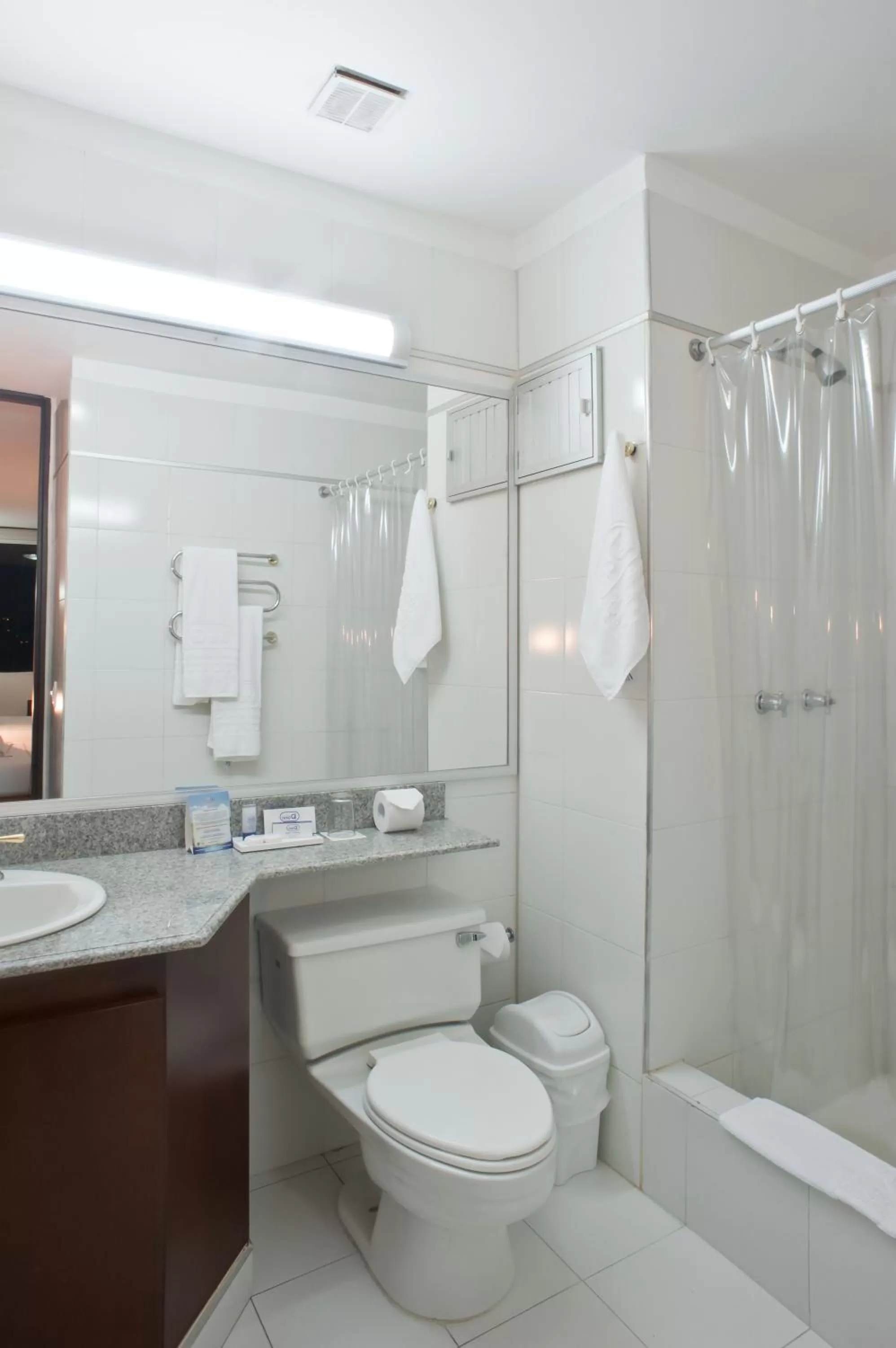 Bathroom in Hotel Dann Combeima