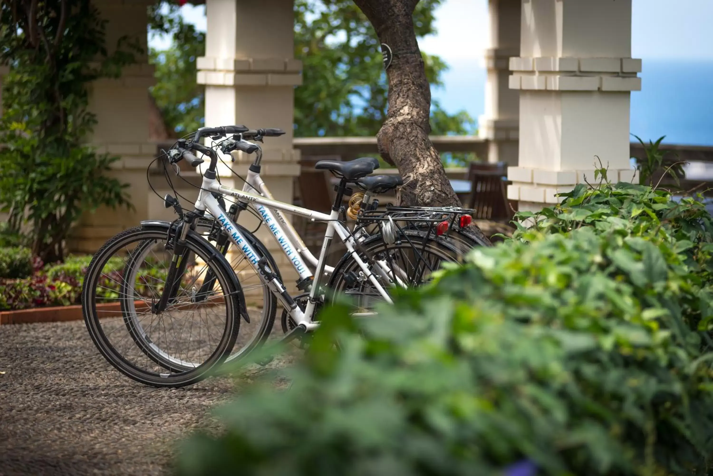 Biking in ARTS IN Hotel Conde Carvalhal