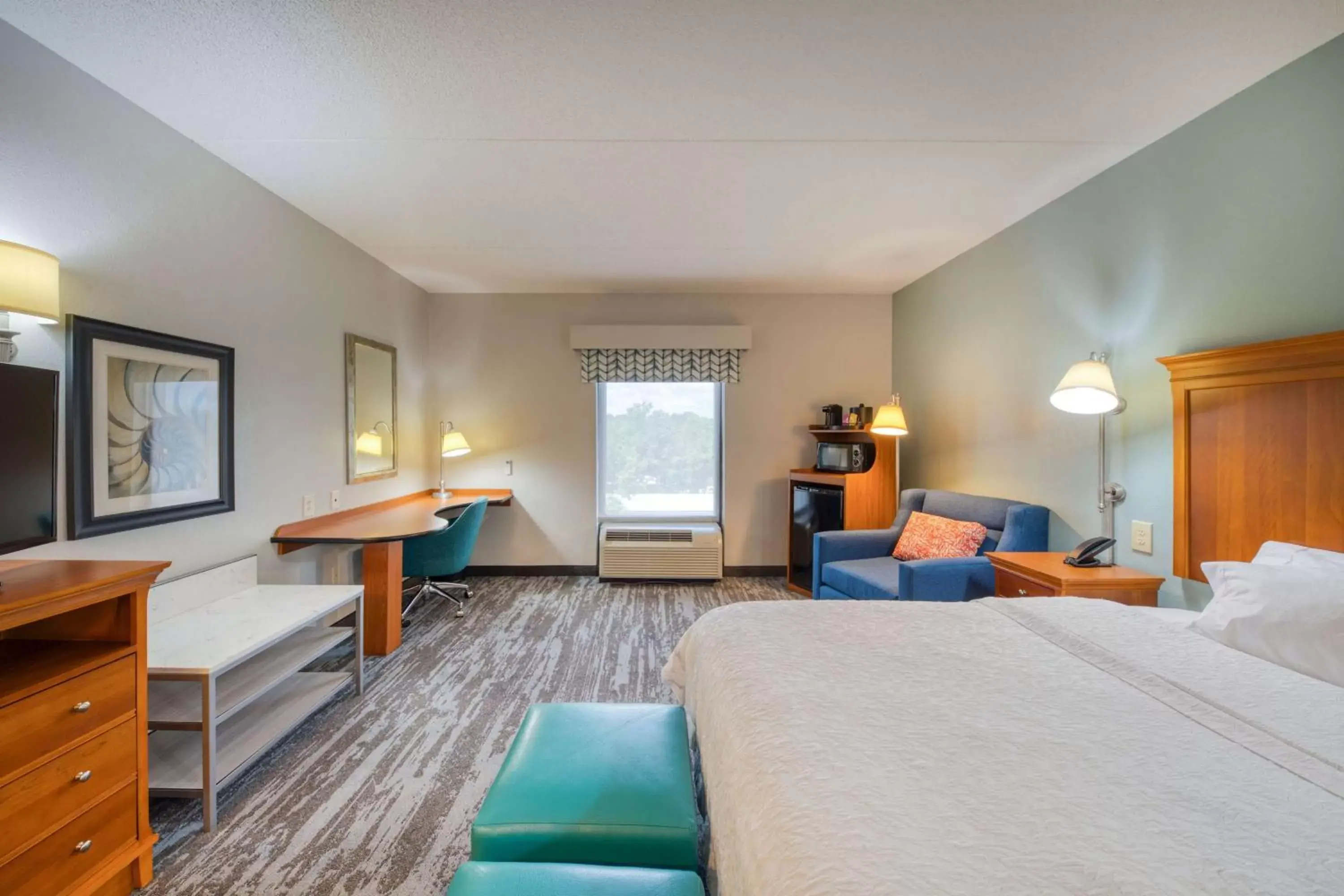 King Room with Roll-In Shower - Mobility and Hearing Access/Non-Smoking in Hampton Inn Wilmington University Area King Room with Roll-In Shower - Mobility and Hearing Access/Non-Smoking in Hampton Inn Wilmington University Area