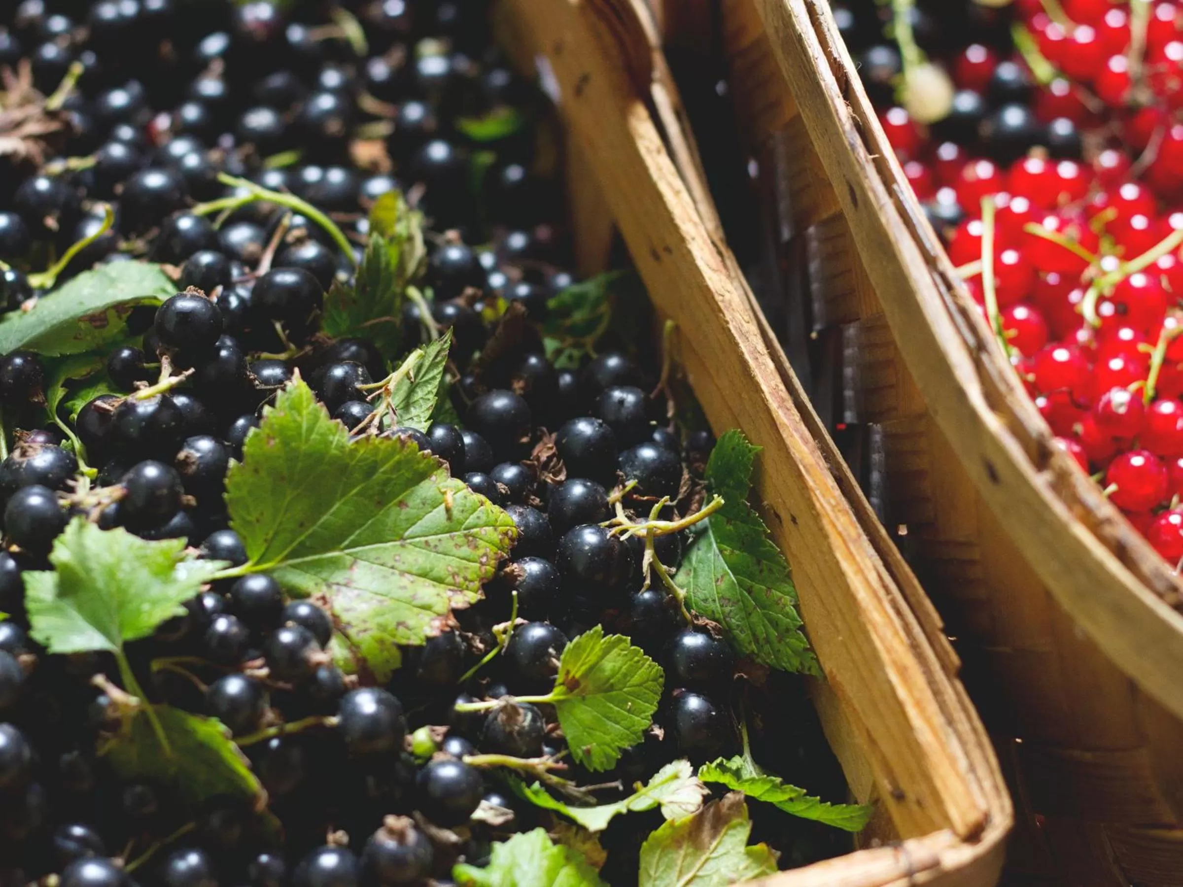 Restaurant/places to eat in Baggå Skola BnB & Café