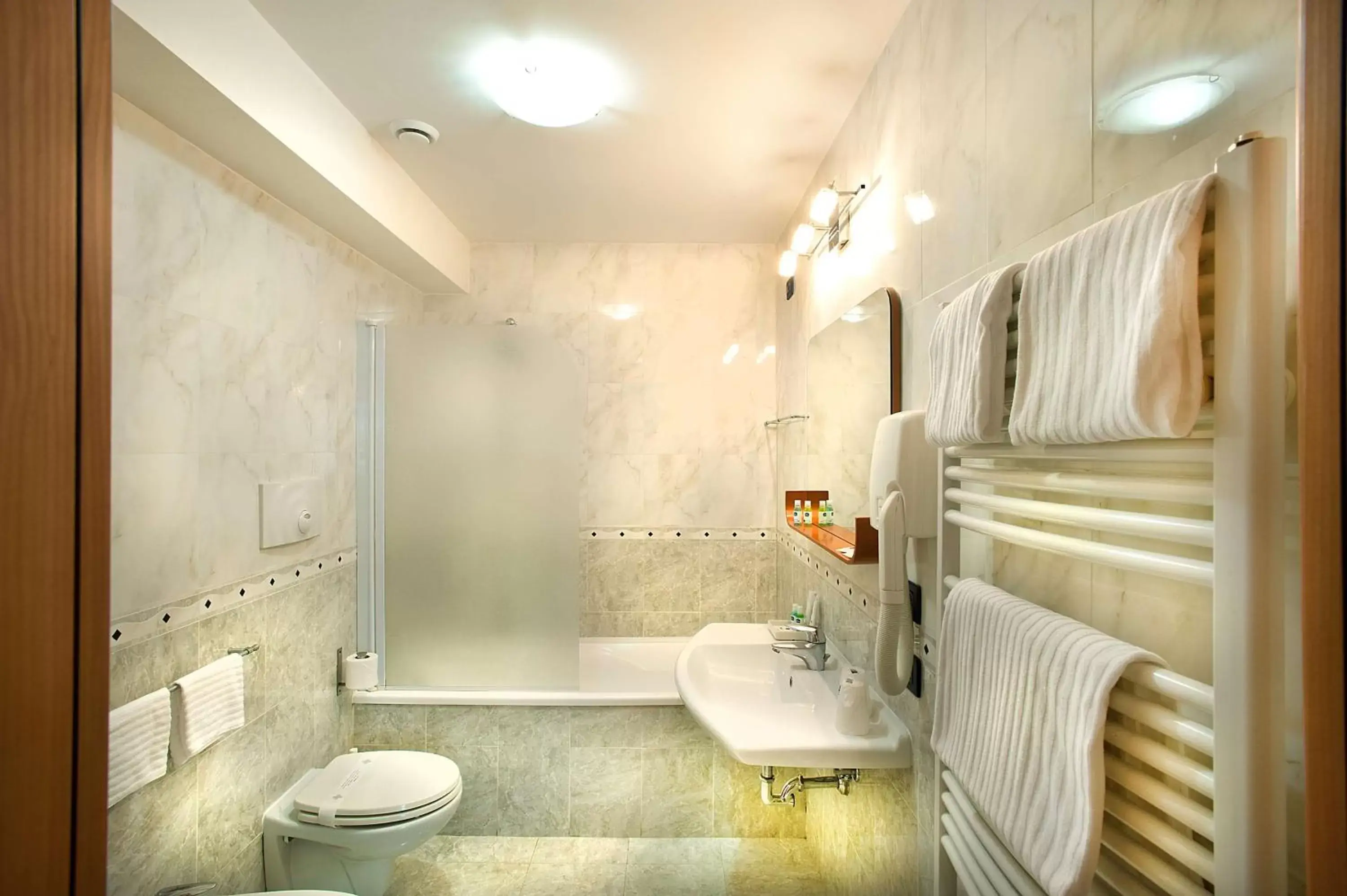 Toilet, Bathroom in Best Western Blu Hotel Roma